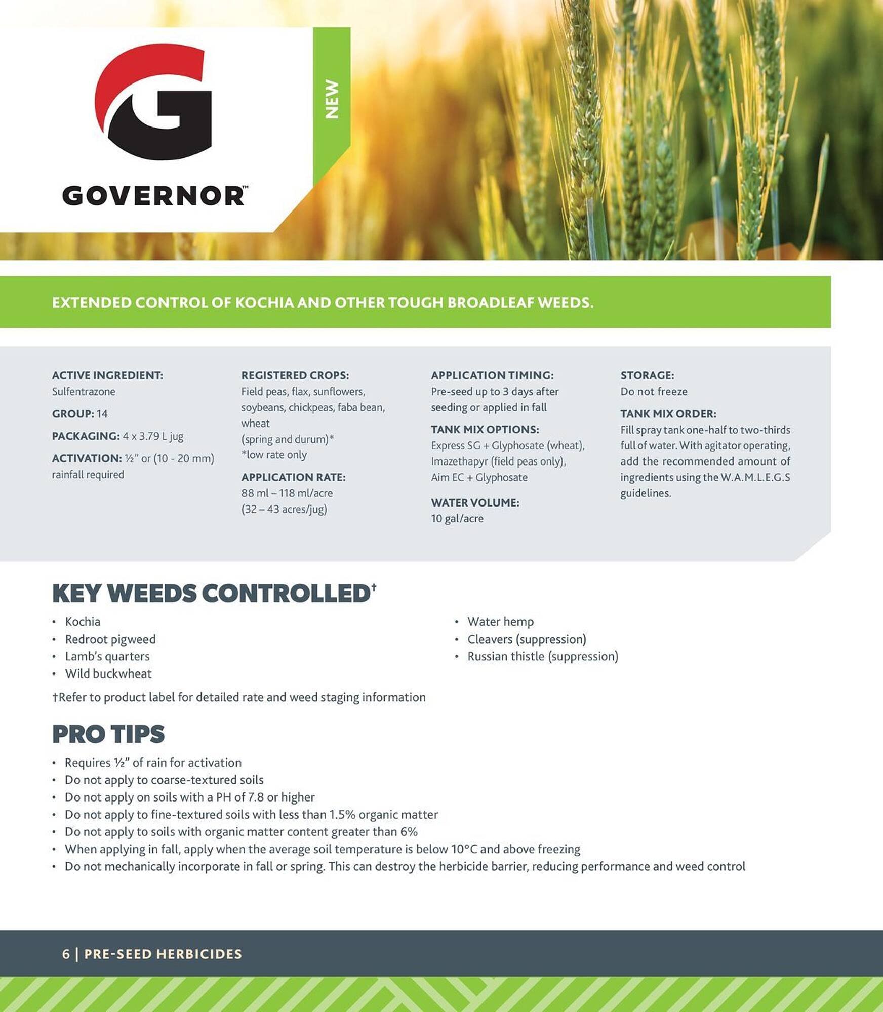 Co-Op Food flyer