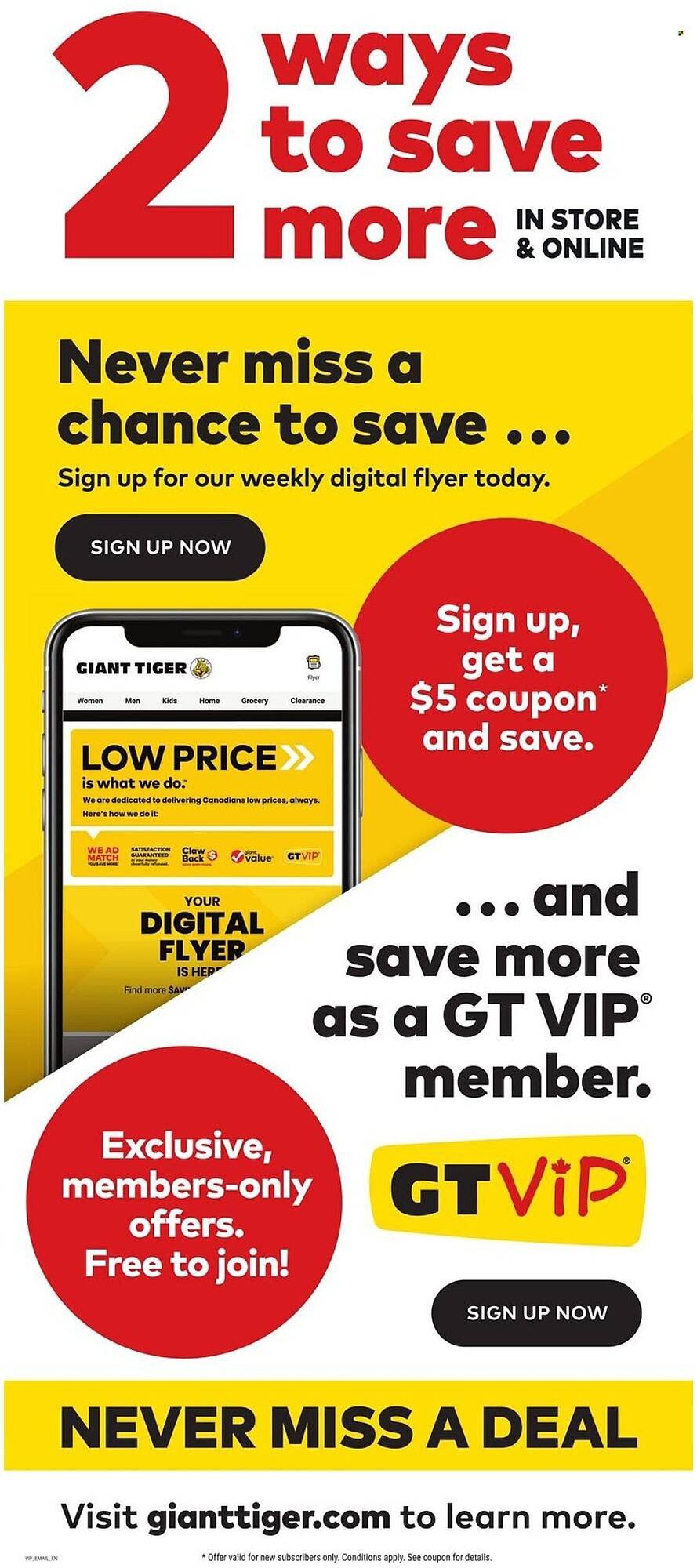 Giant Tiger flyer