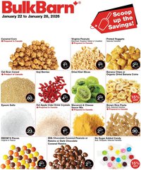 Bulk Barn flyer