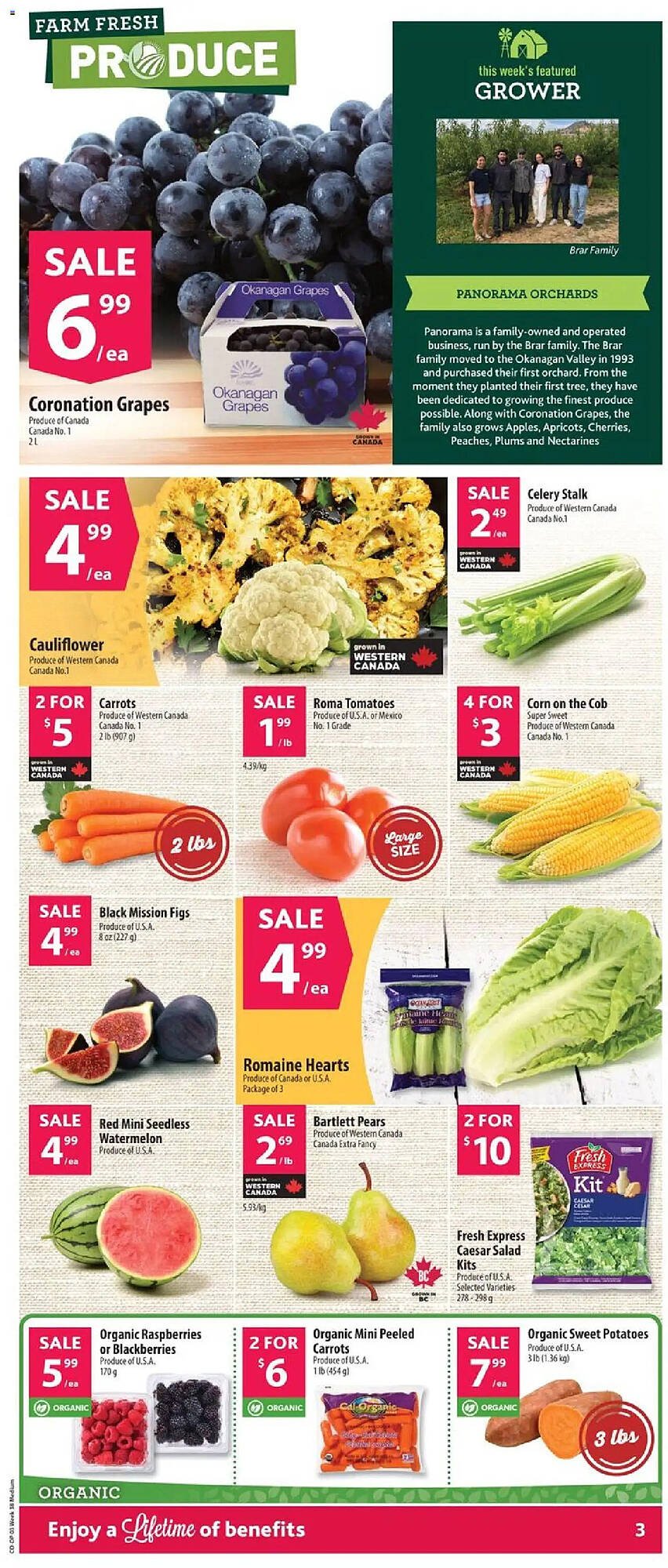 Co-op flyer