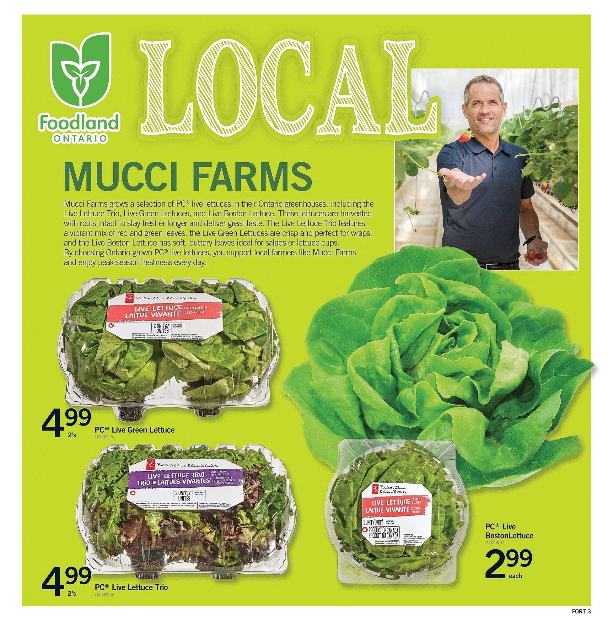 Fortinos flyer
