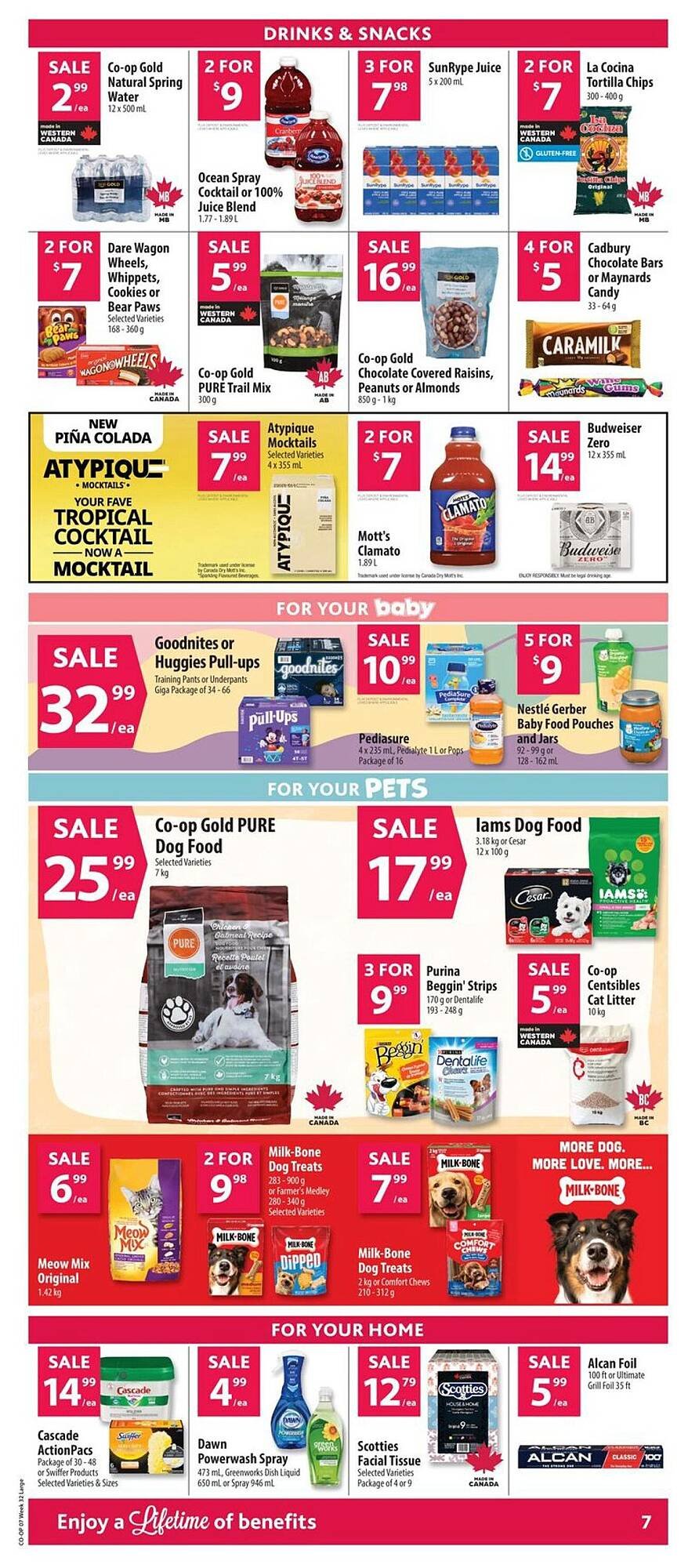 Co-op flyer