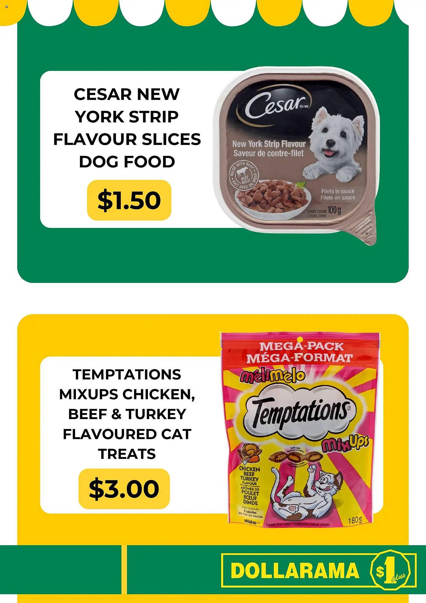 Dollarama flyer (2026-02-23 - 2026-03-16) | 6