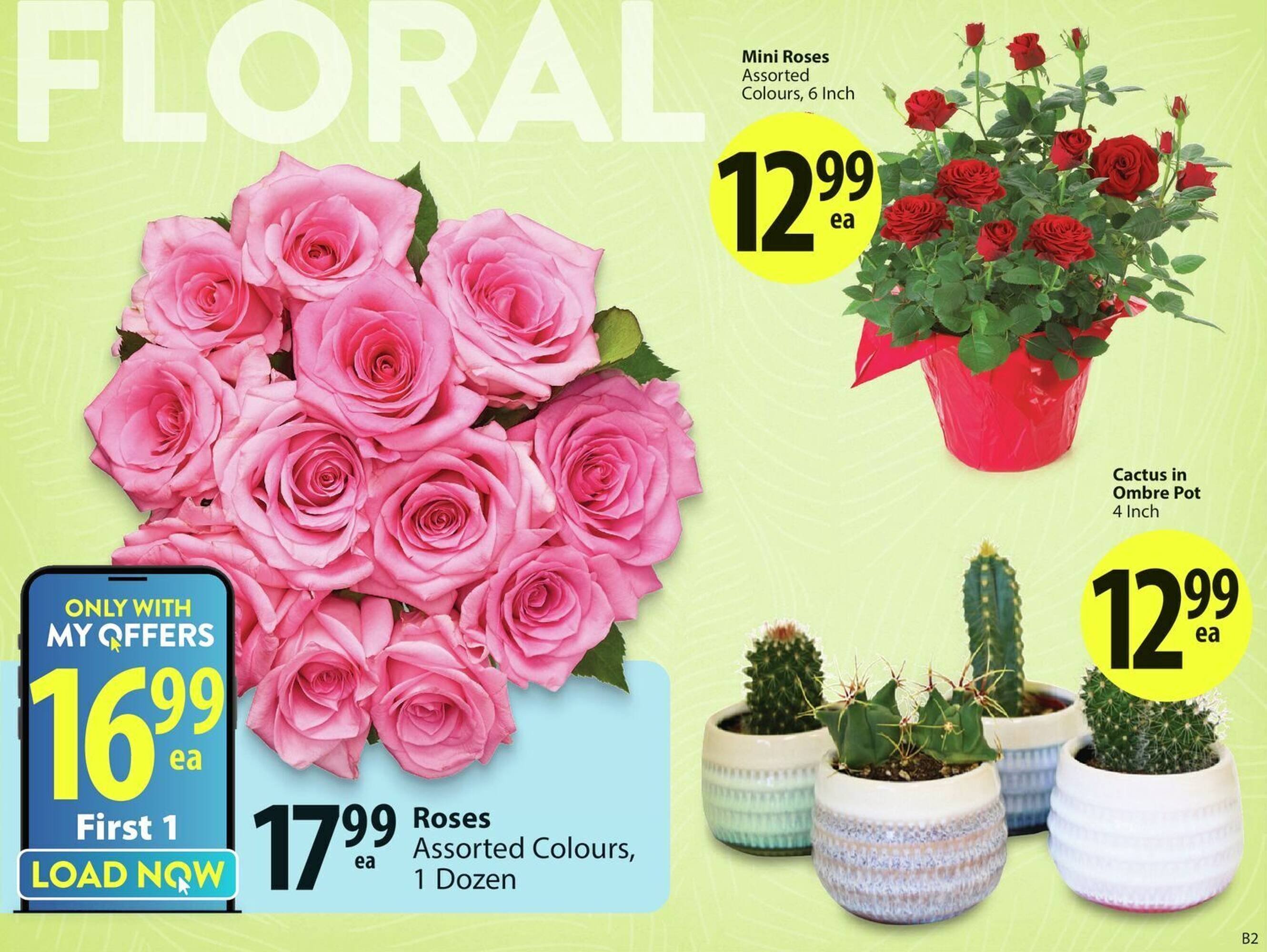 Save on Foods flyer