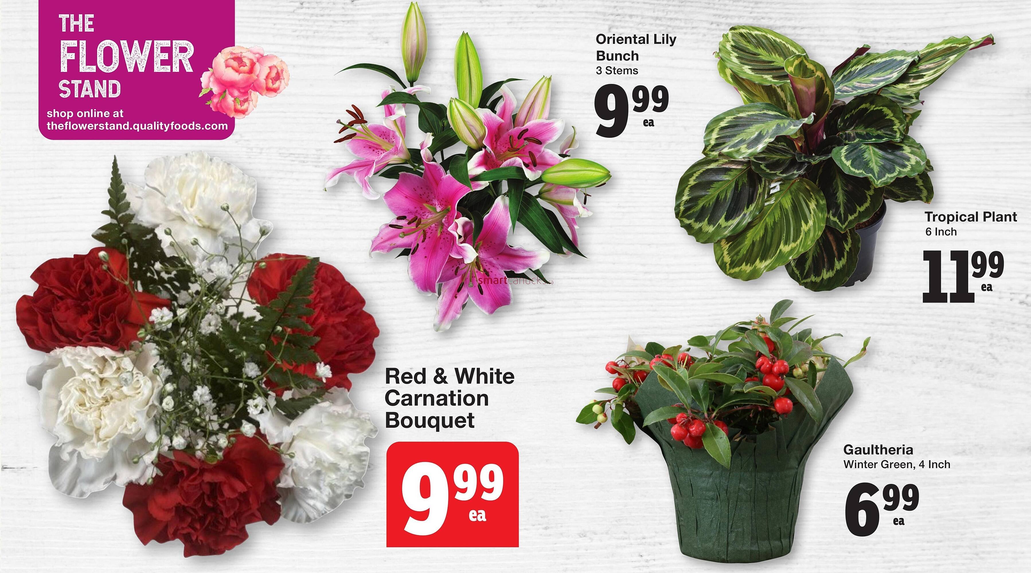 Quality Foods flyer (2025-11-06 - 2025-11-12) | 3