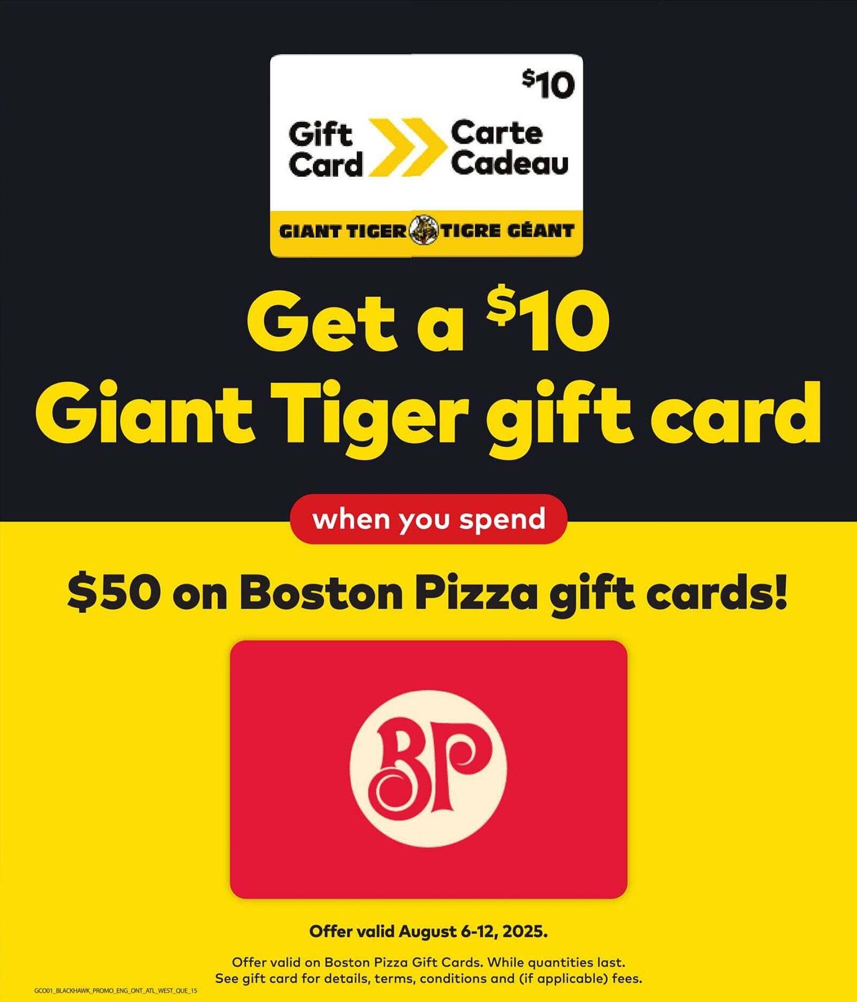 Giant Tiger flyer