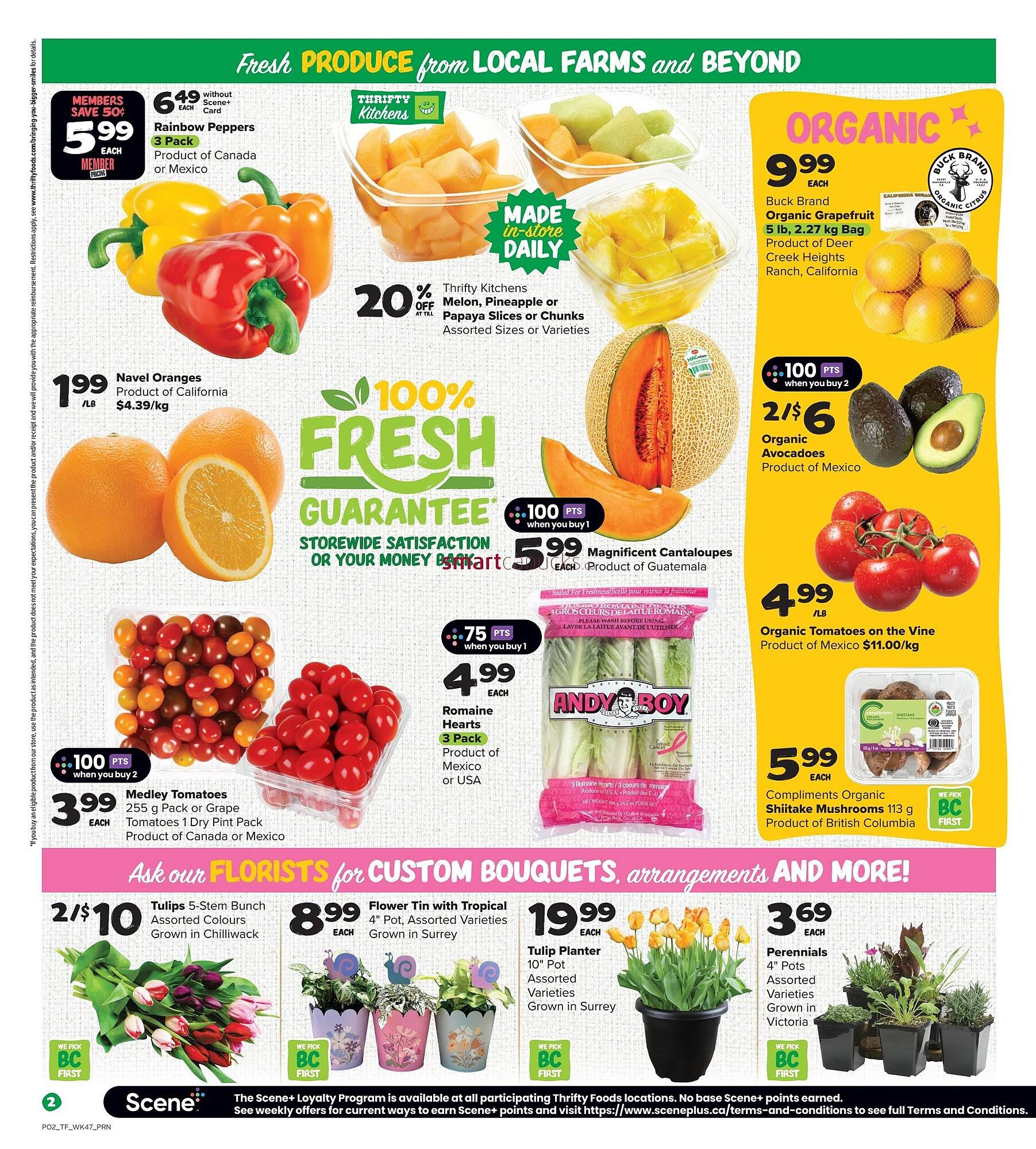 Thrifty Foods flyer (2026-03-19 - 2026-03-25) | 3