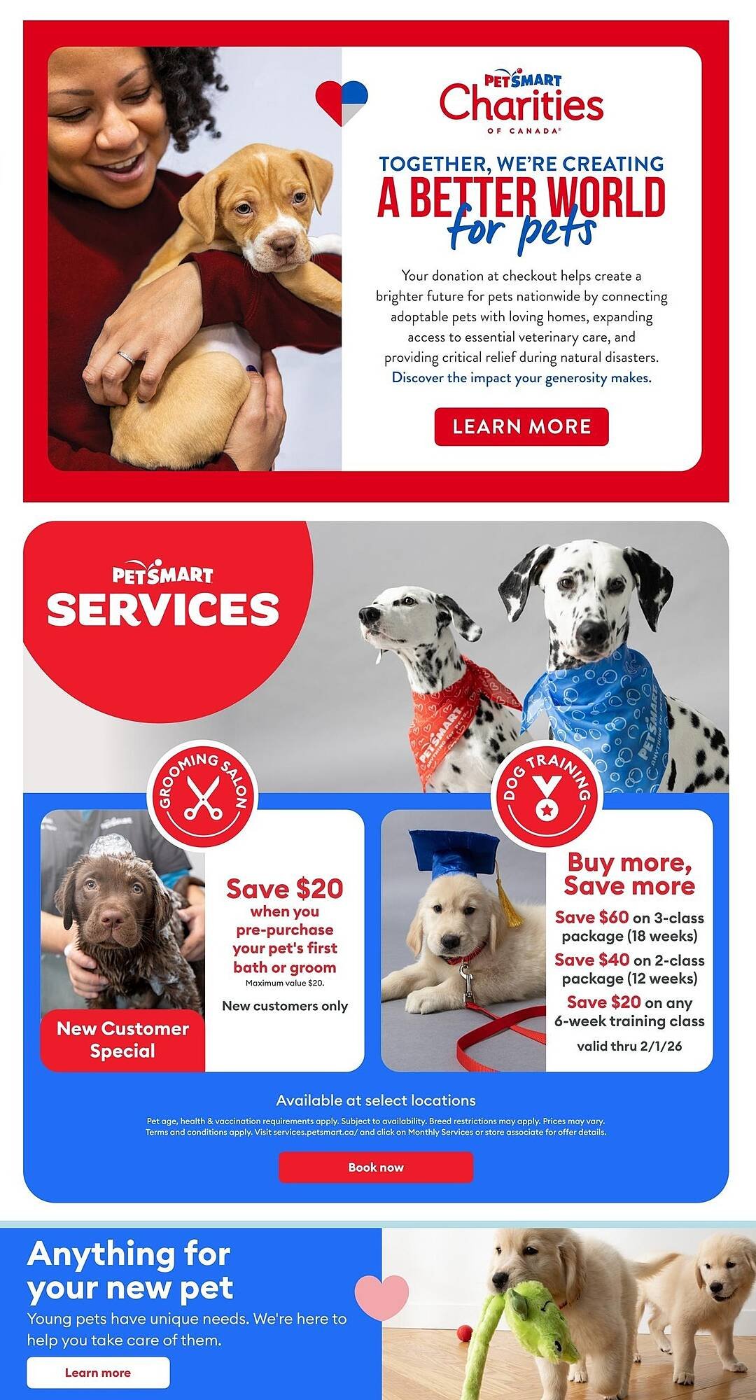 Petsmart flyer