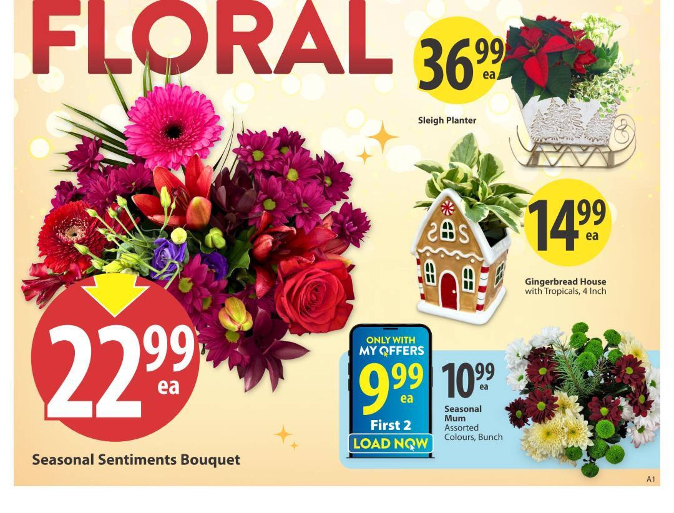 Save on Foods flyer