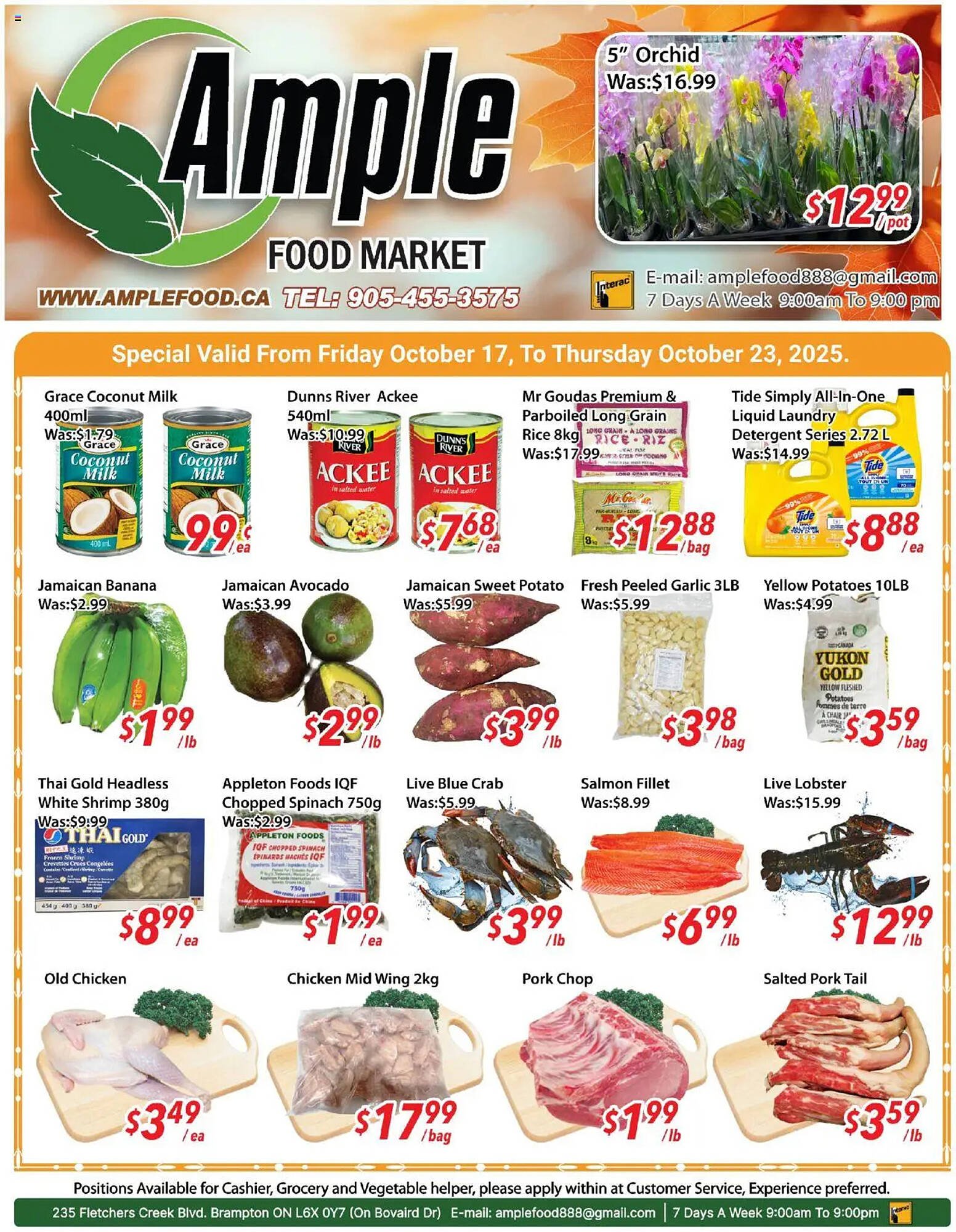 Ample Food Market flyer (2025-10-17 - 2025-10-23) | 1