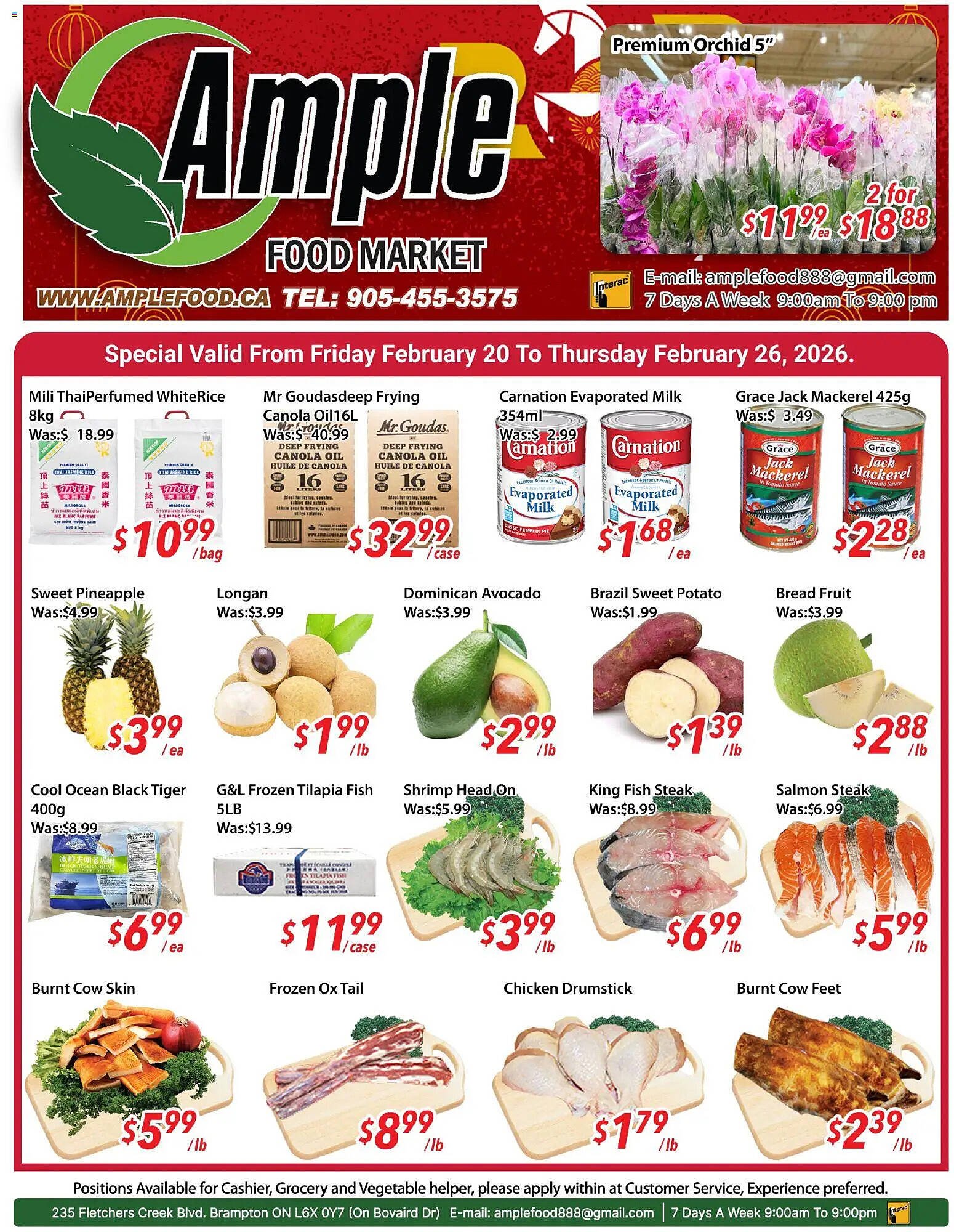 Ample Food Market flyer (2026-02-20 - 2026-02-27) | 1