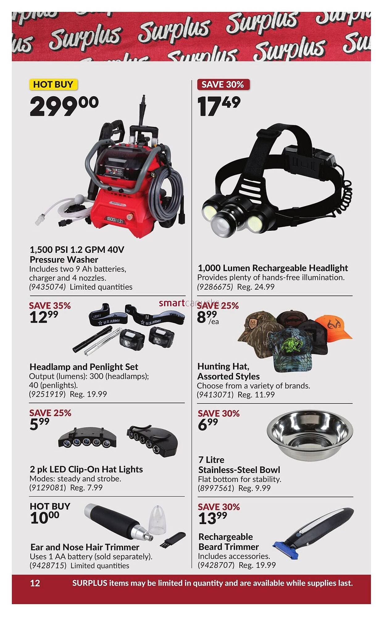 Princess Auto flyer