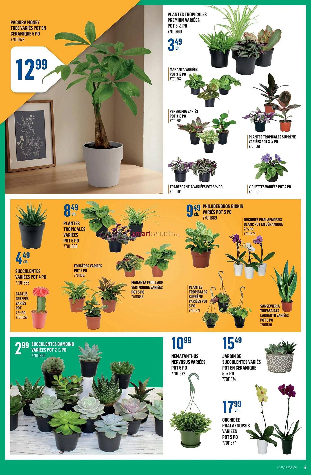 Canac flyer (2026-01-15 - 2026-01-21) | 4