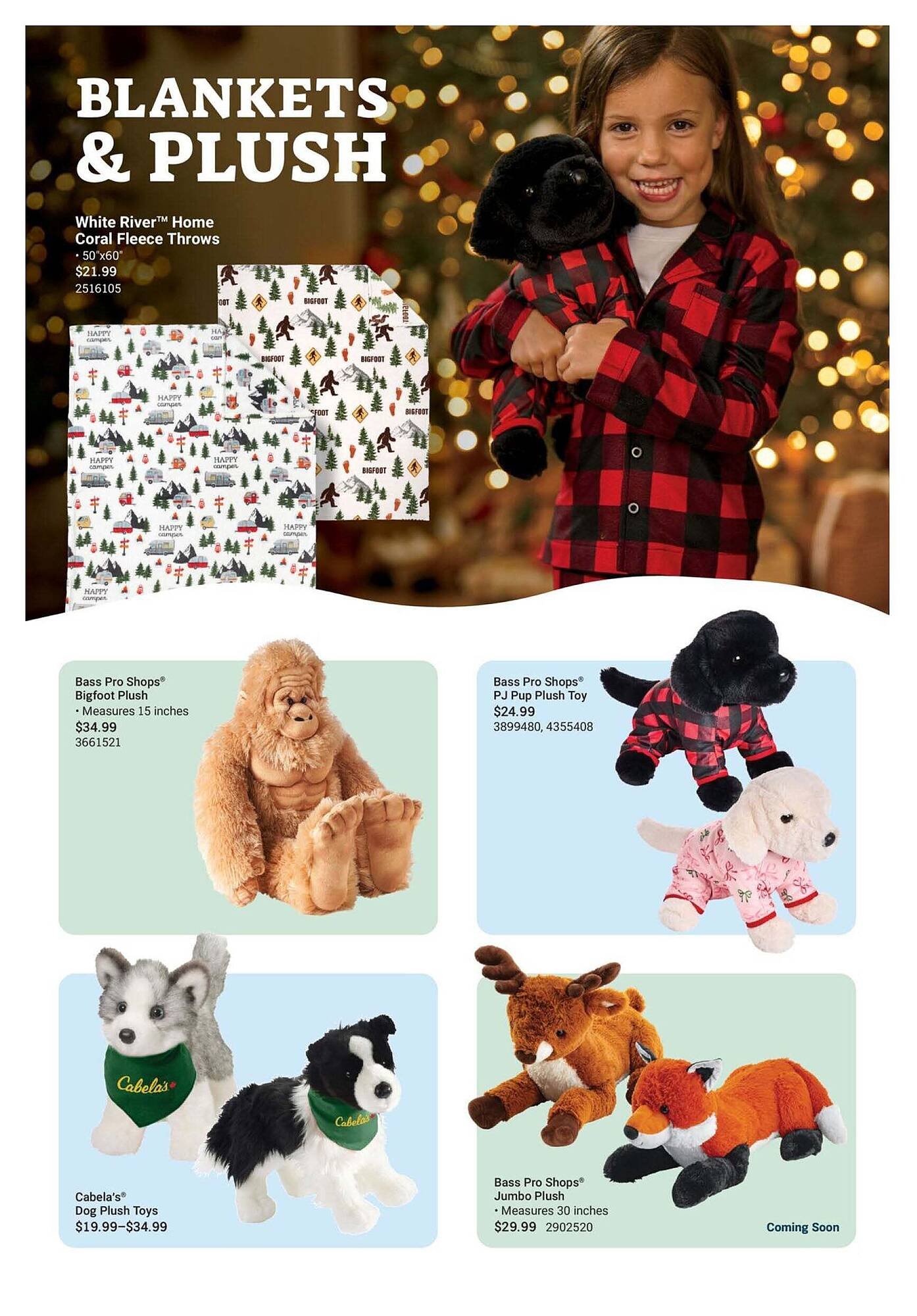 Cabela's flyer
