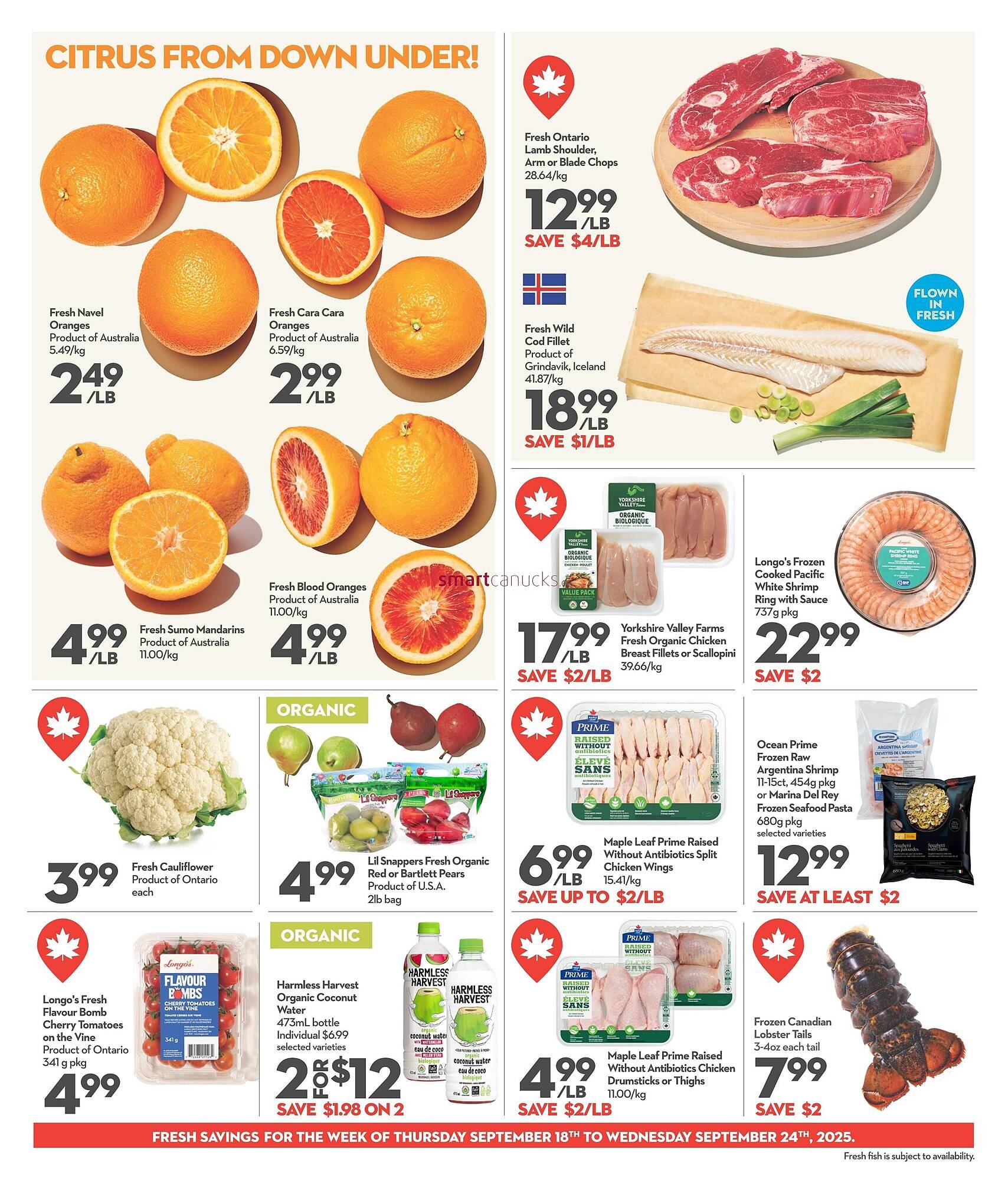 Longo's flyer