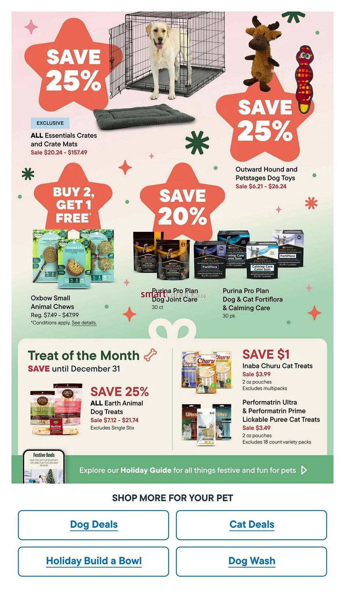 Petvalu flyer