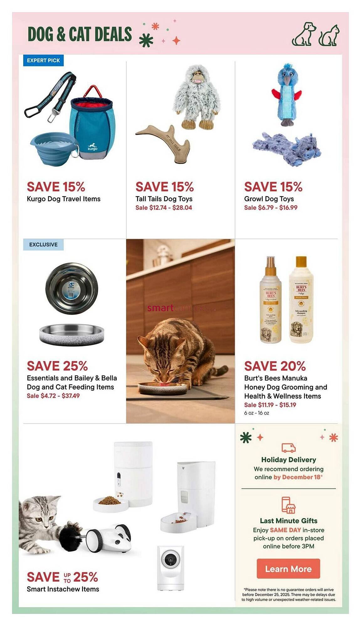 Petvalu flyer