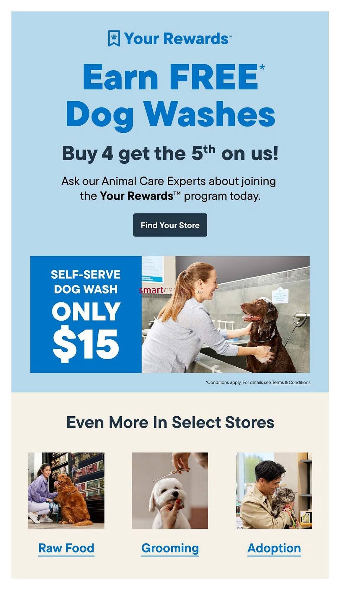 Petvalu flyer