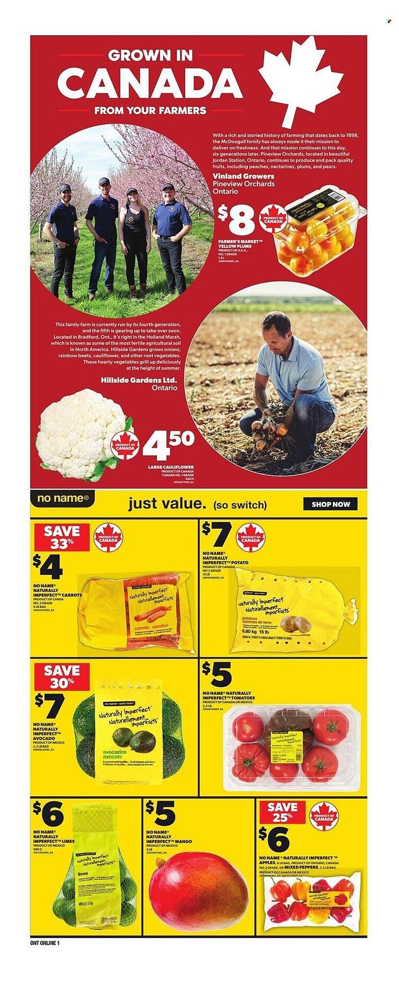 Loblaws flyer