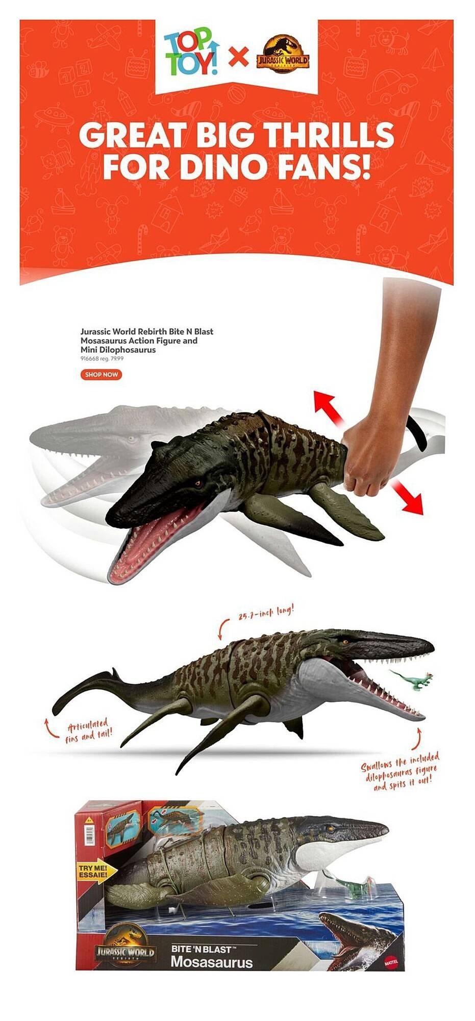 Toys R us flyer