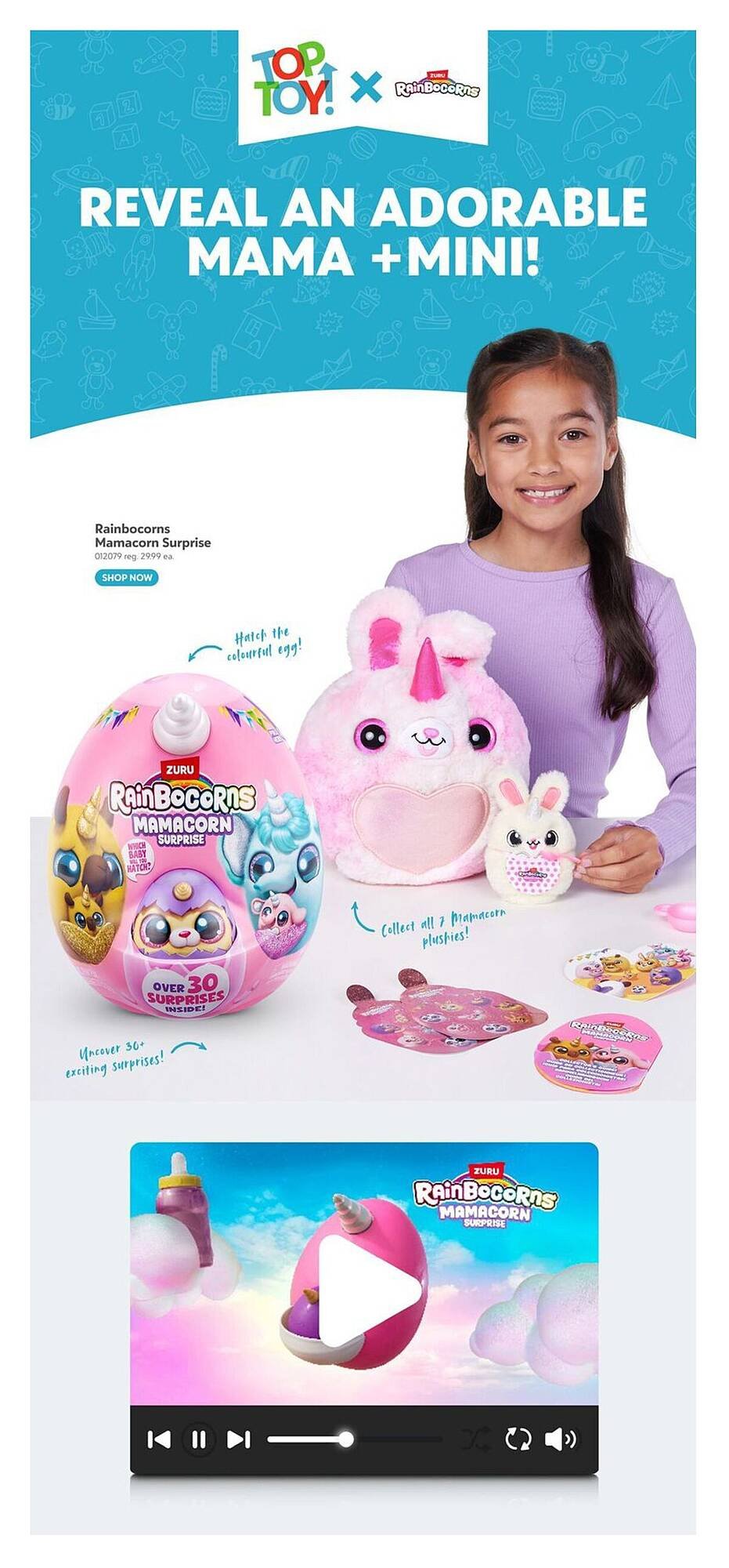 Toys R us flyer