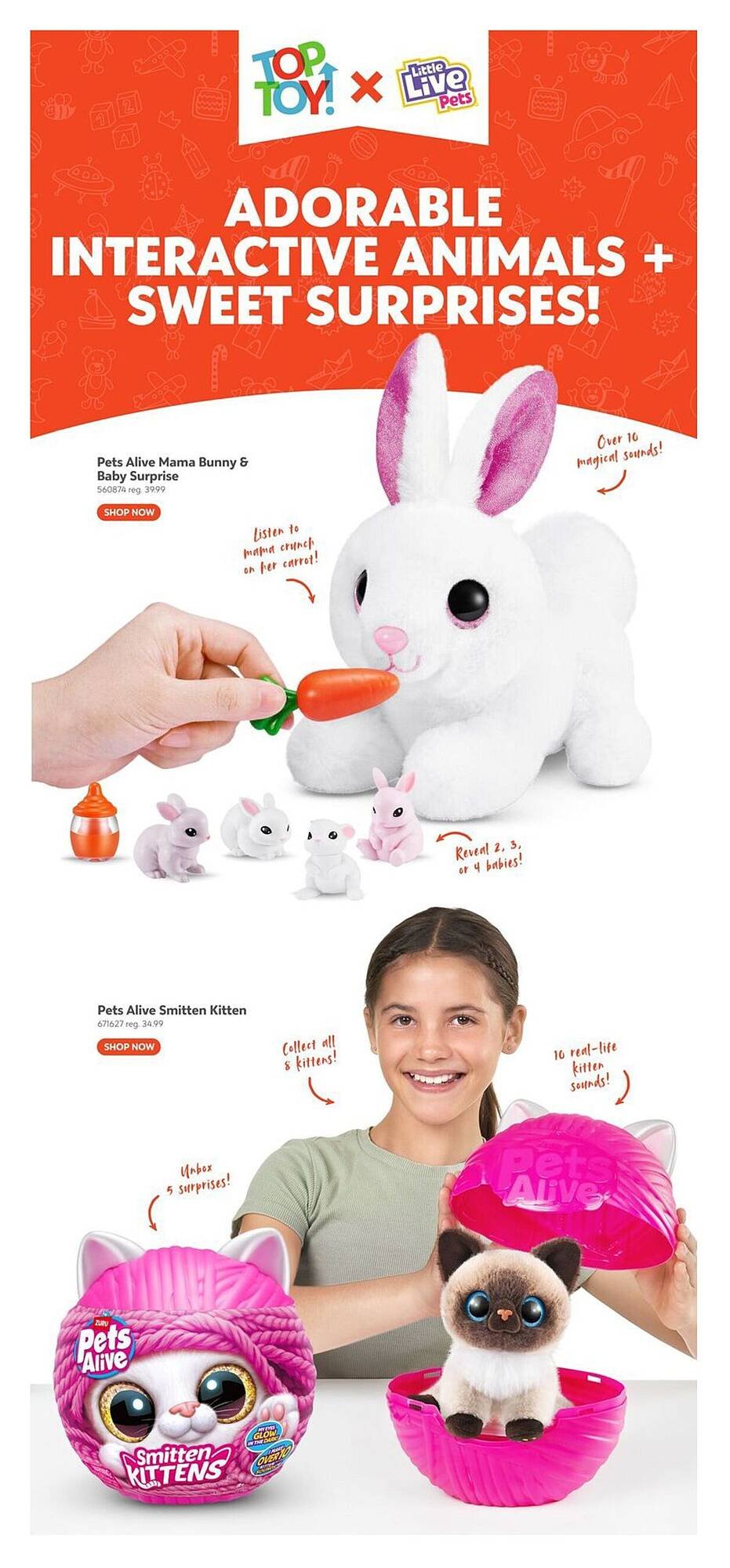Toys R us flyer