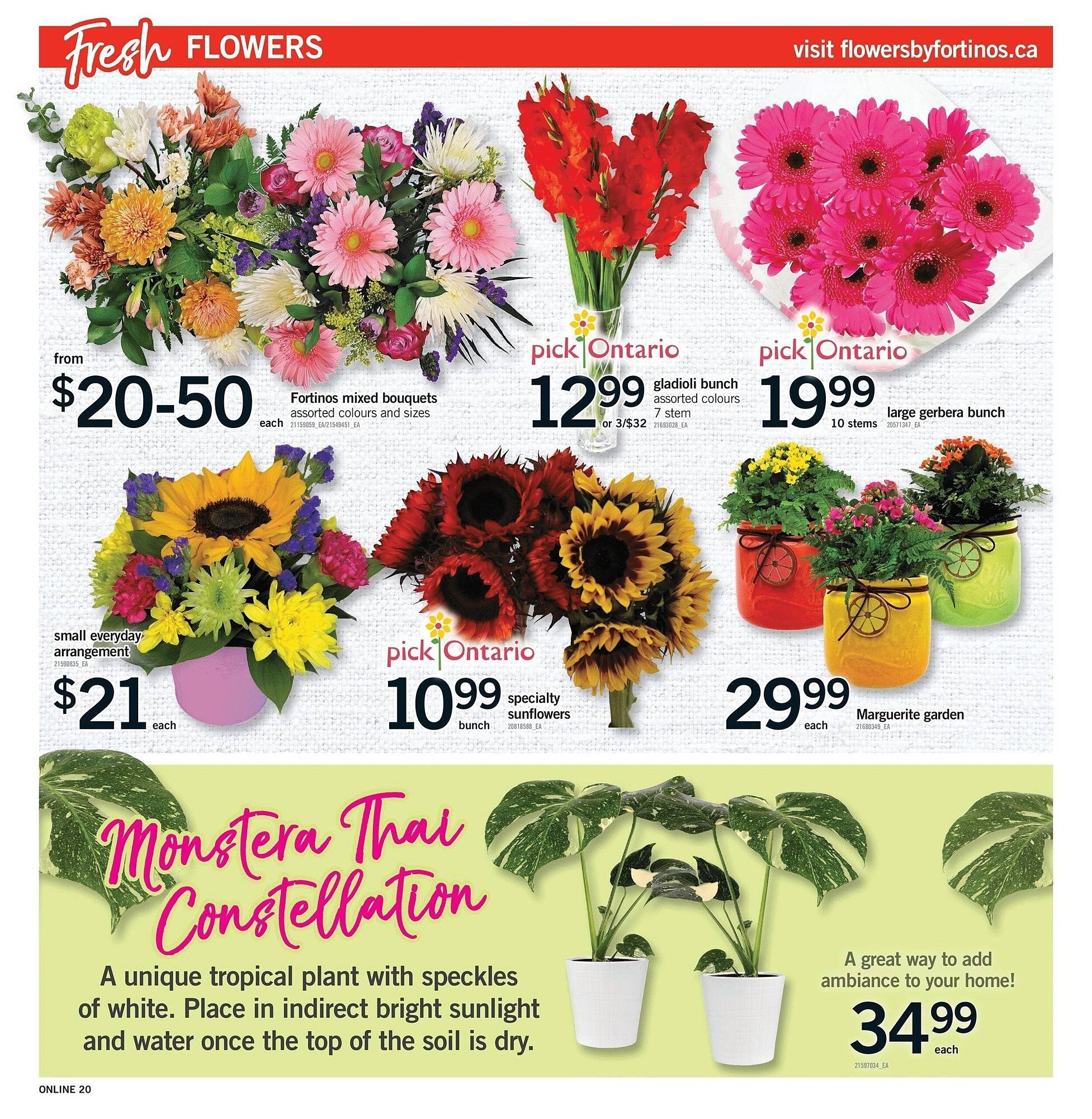 Fortinos flyer