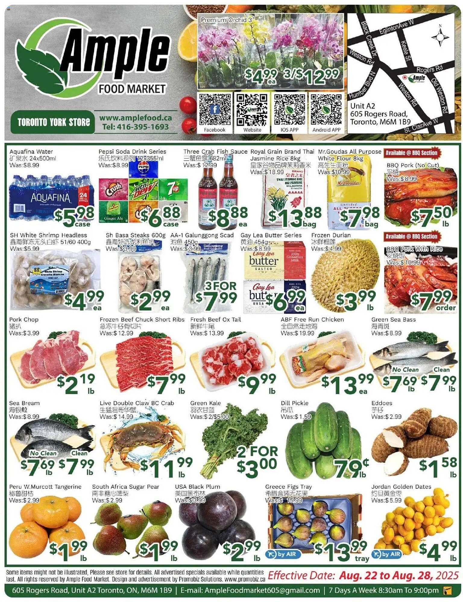 Ample Food Market flyer (2025-08-22 - 2025-08-28) | 1