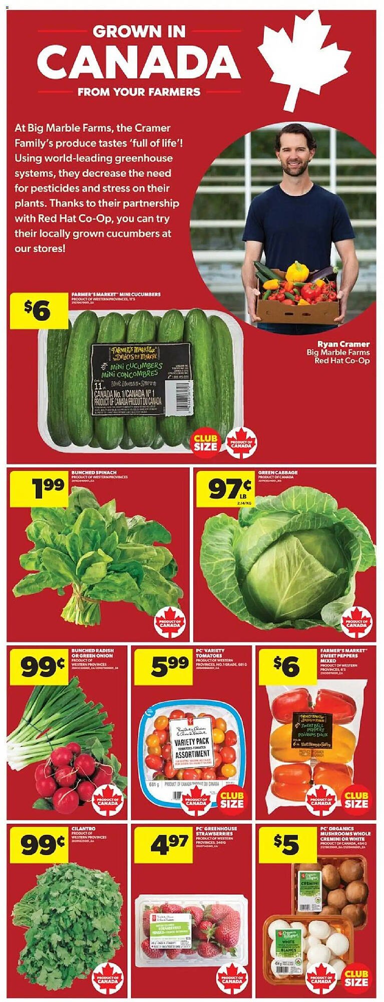Real Canadian Superstore flyer