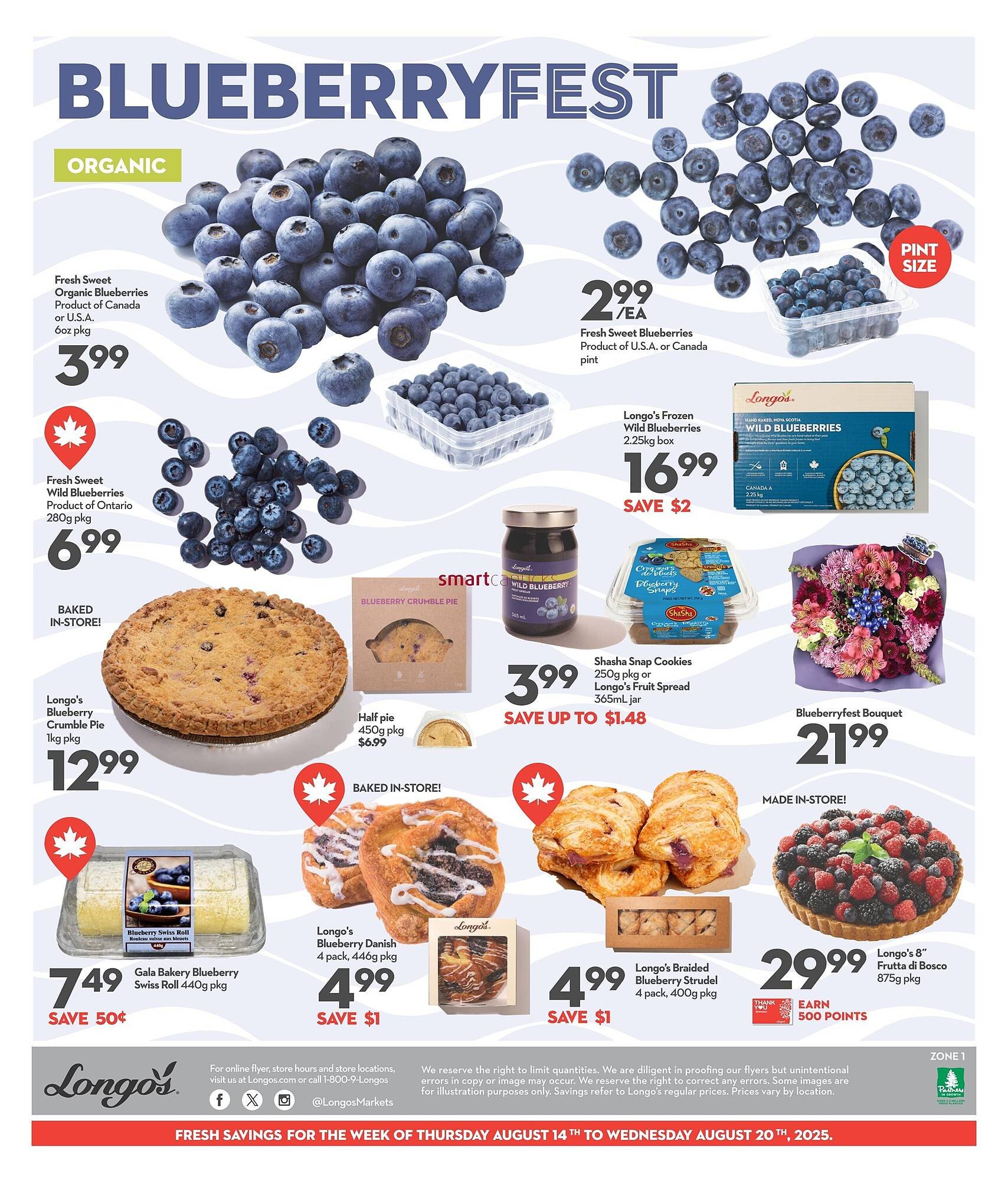 Longo's flyer
