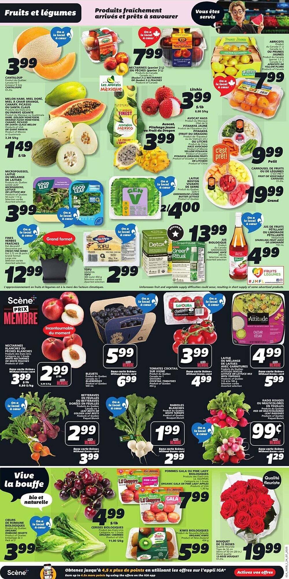 IGA flyer