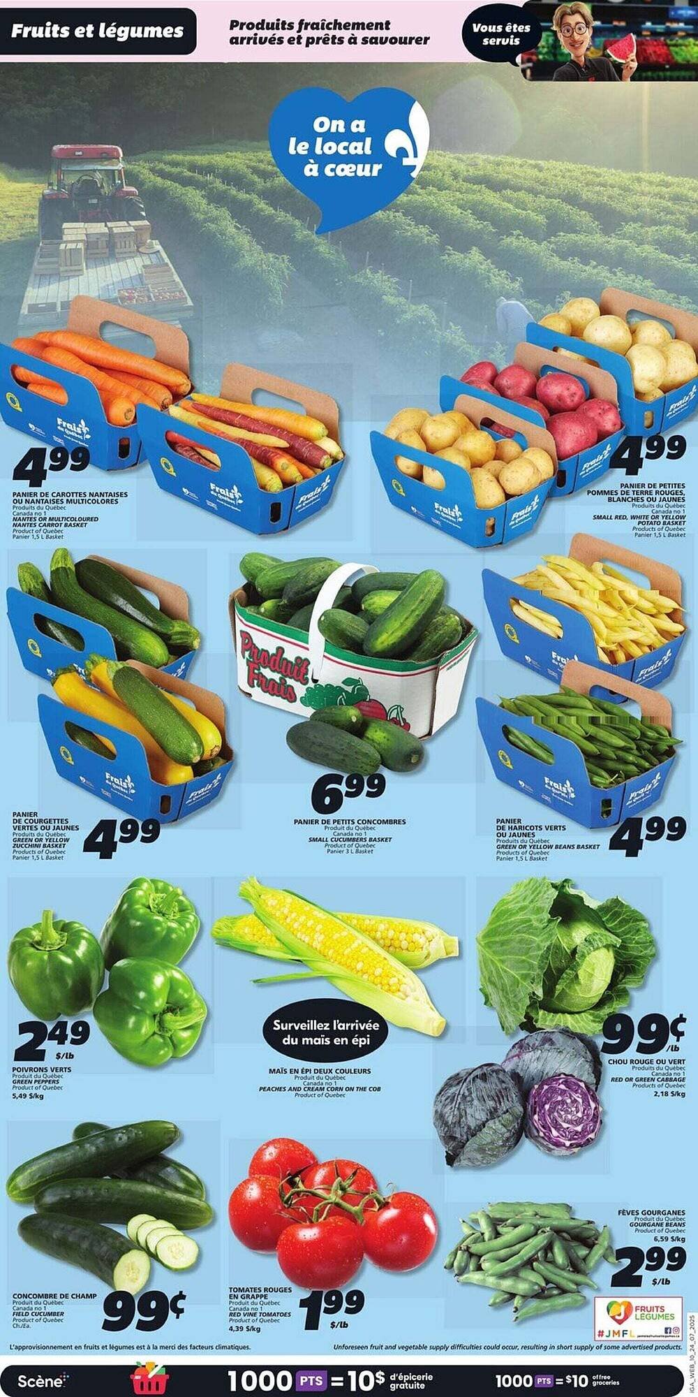 IGA flyer