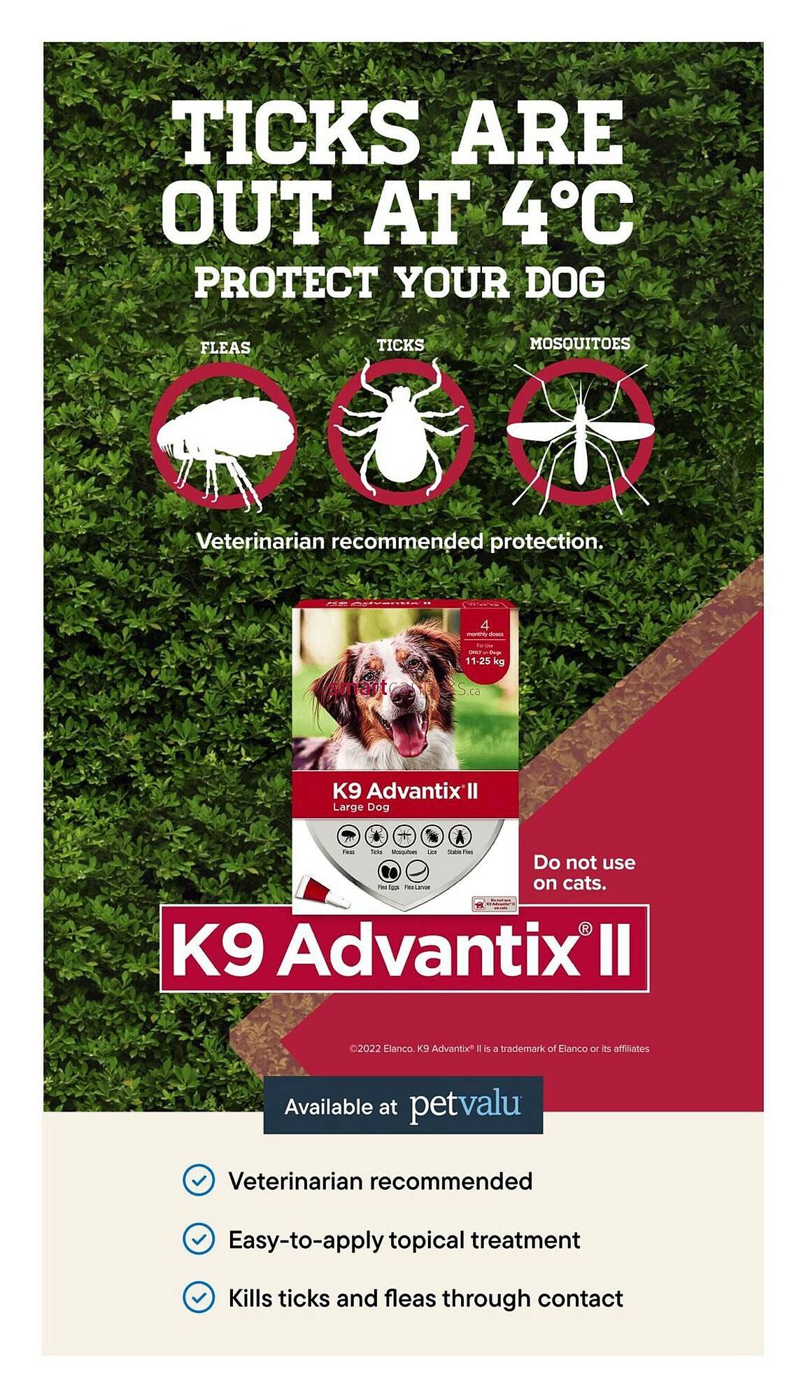 Petvalu flyer (2026-02-19 - 2026-03-04) | 7