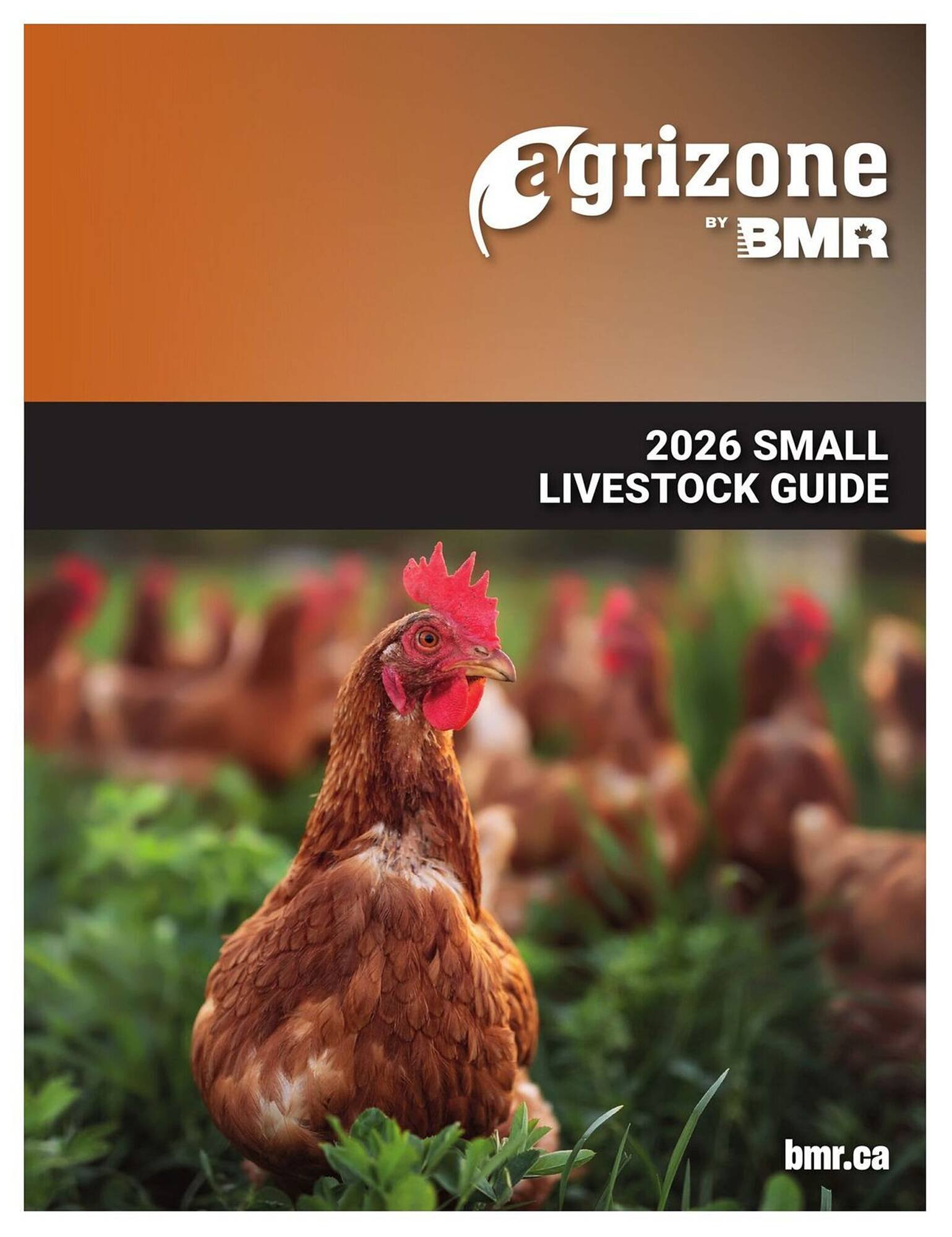 BMR flyer (2026-02-06 - 2026-12-31) | 1