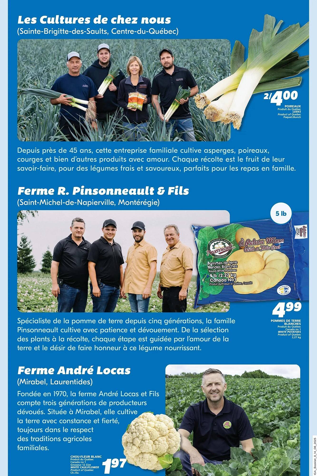 IGA flyer