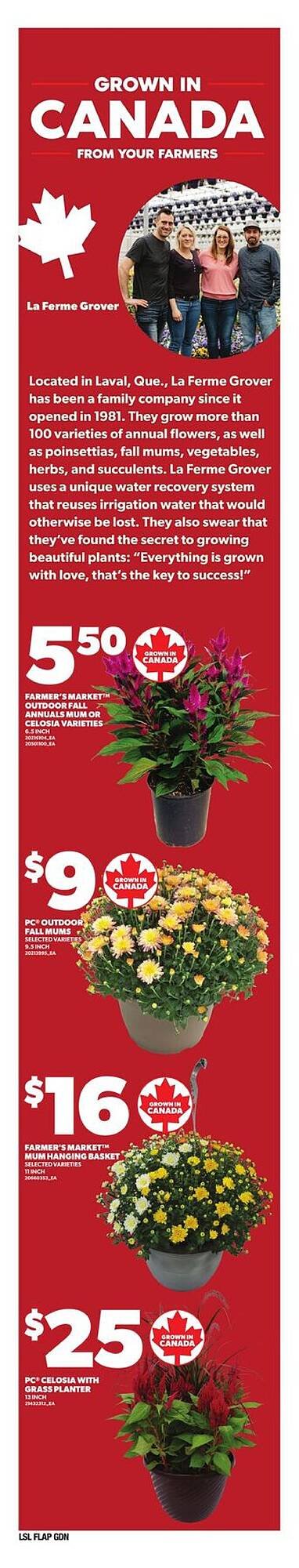 Loblaws flyer