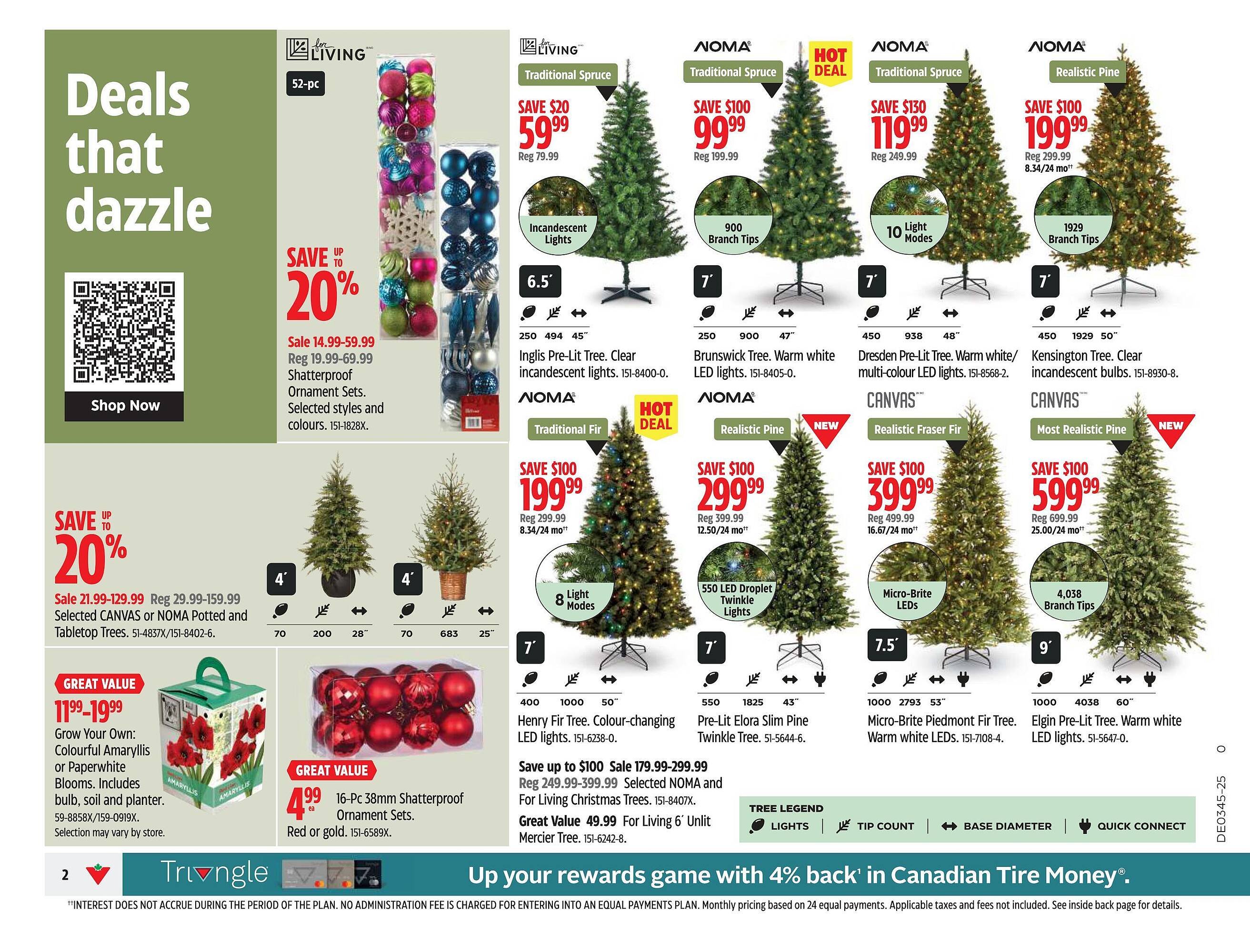 Canadian Tire flyer (2025-10-30 - 2025-11-05) | 4