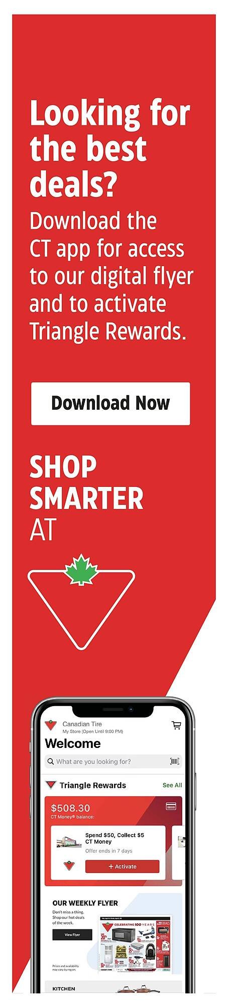 Canadian Tire flyer (2025-12-18 - 2025-12-28) | 14