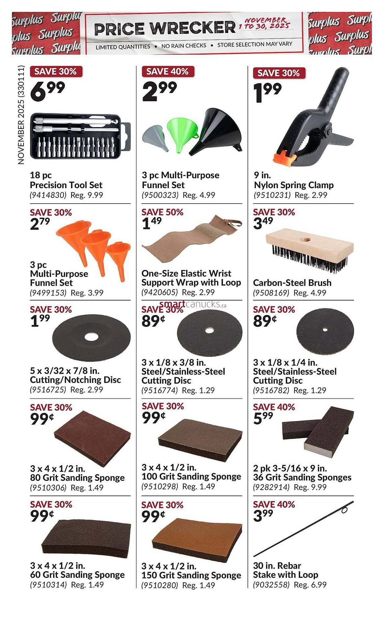 Princess Auto flyer (2025-10-31 - 2025-11-06) | 13