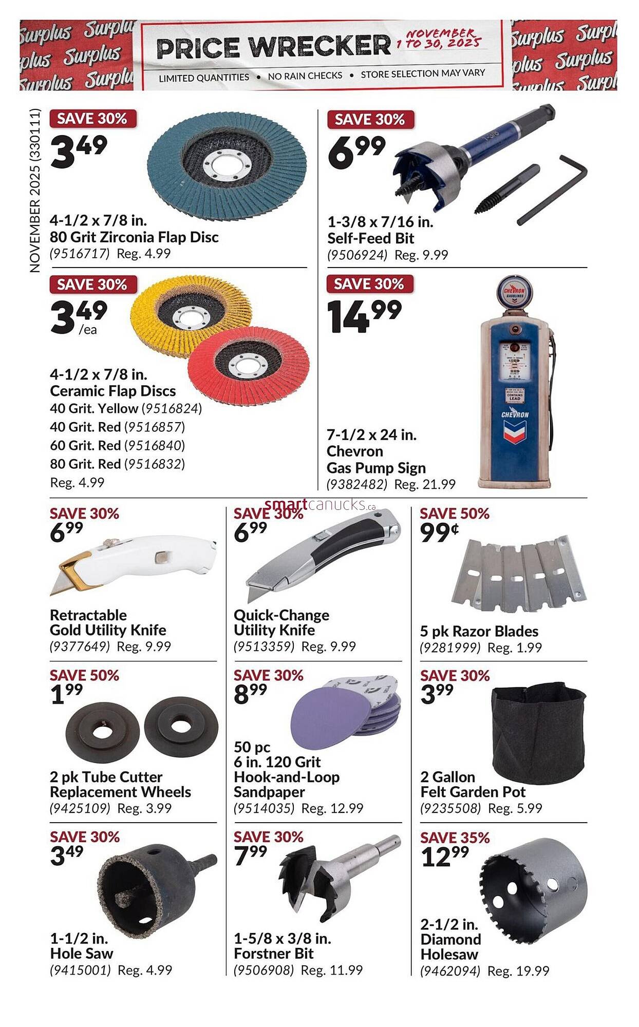 Princess Auto flyer (2025-10-31 - 2025-11-06) | 14