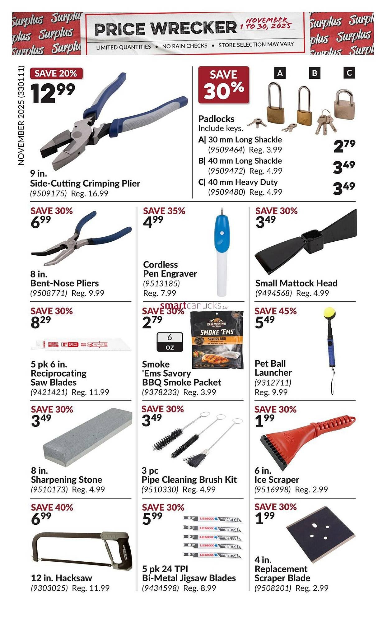 Princess Auto flyer (2025-10-31 - 2025-11-06) | 16