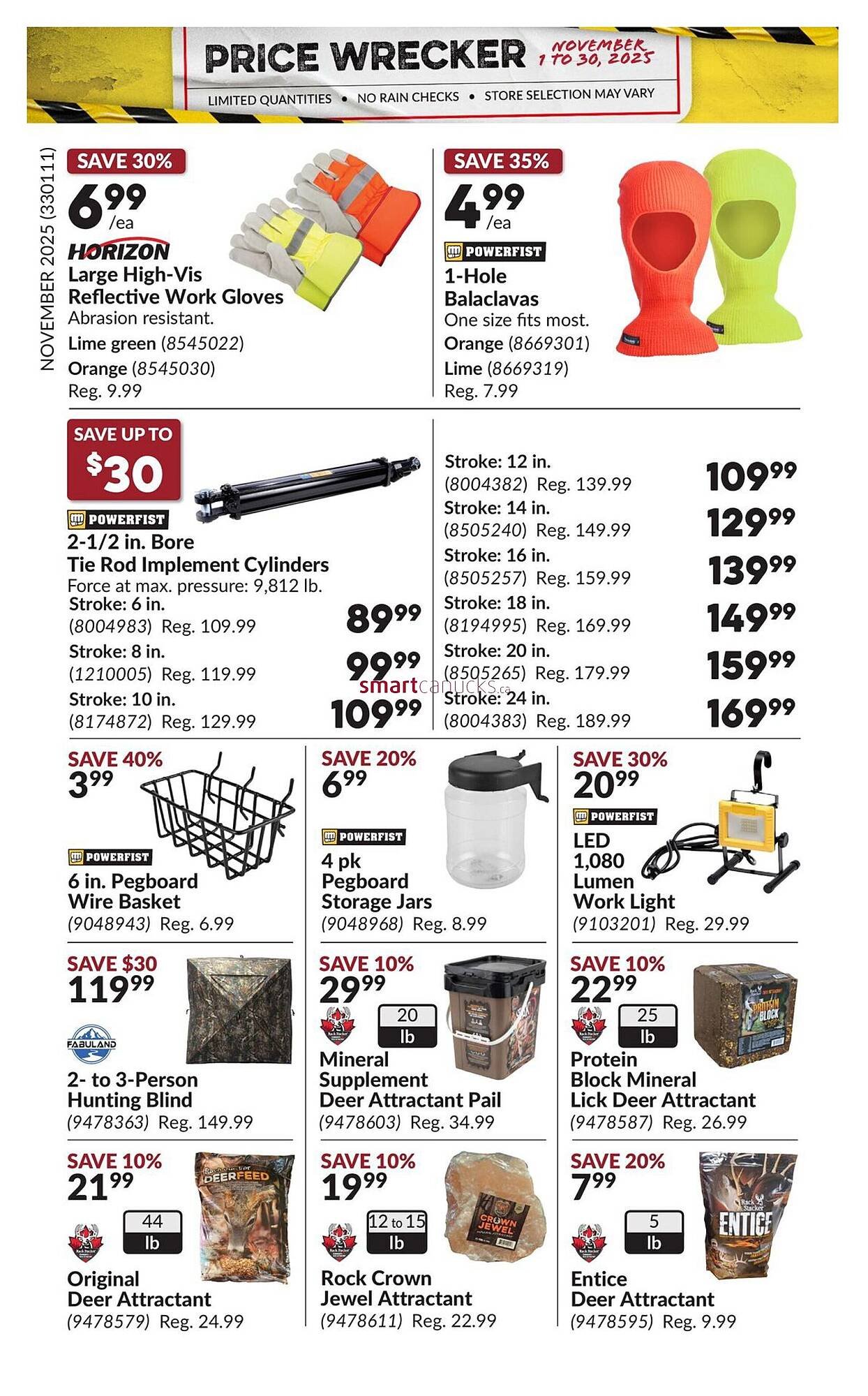 Princess Auto flyer (2025-10-31 - 2025-11-06) | 22