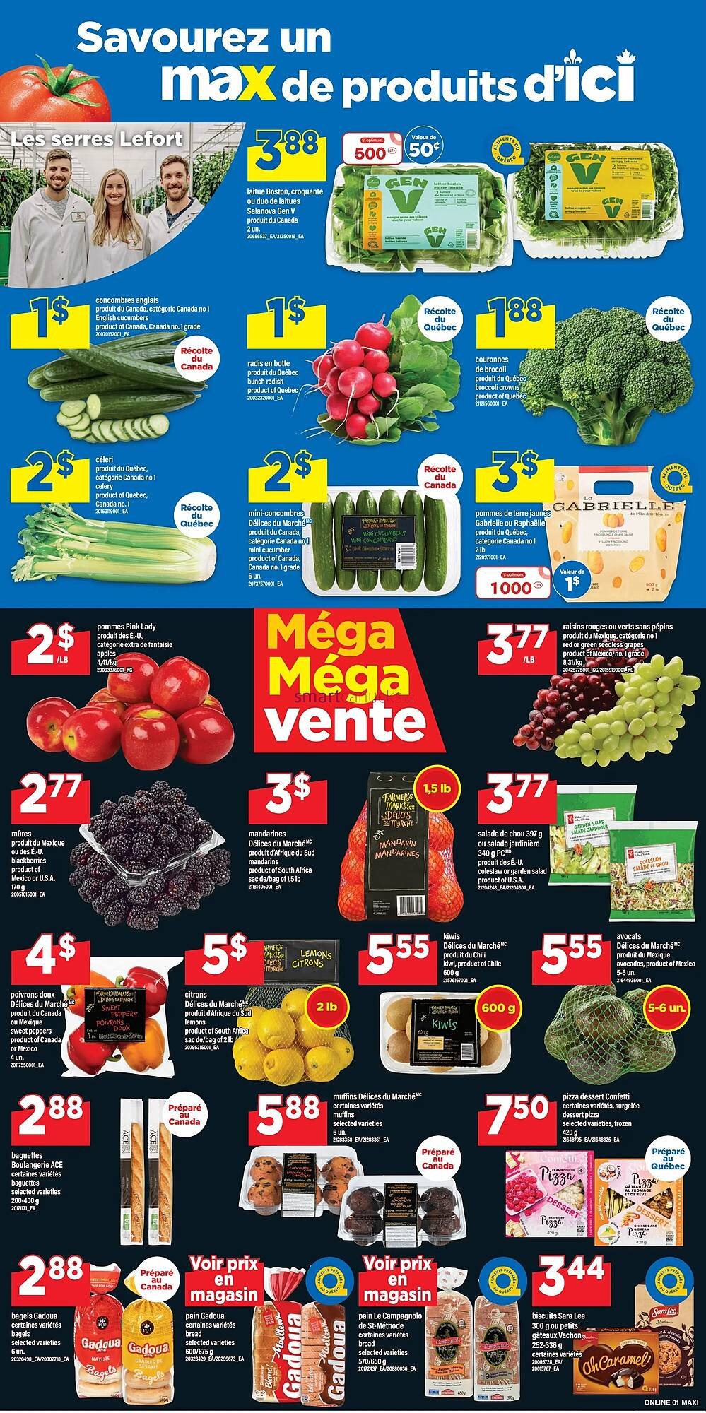 Maxi flyer