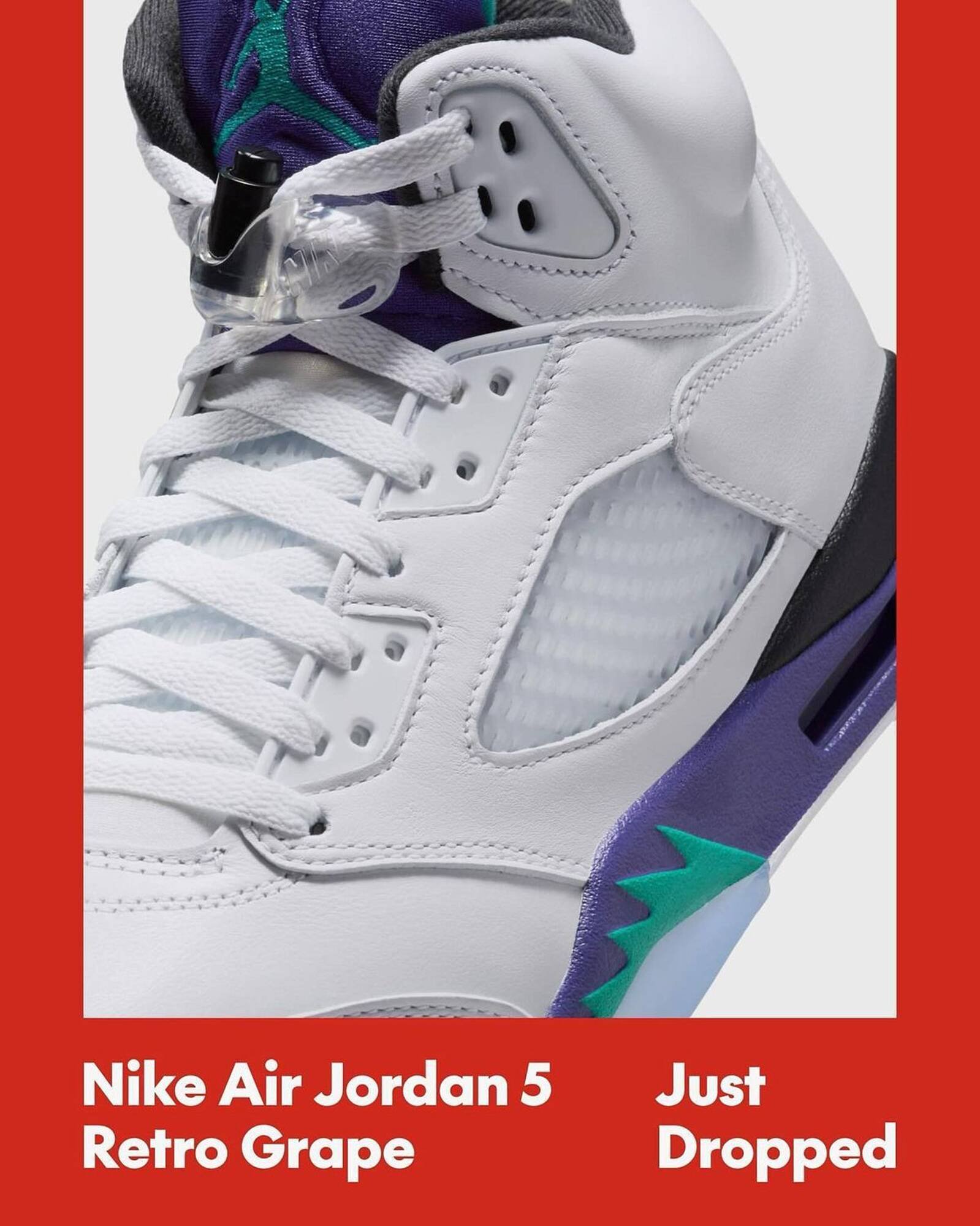 Sport Chek flyer