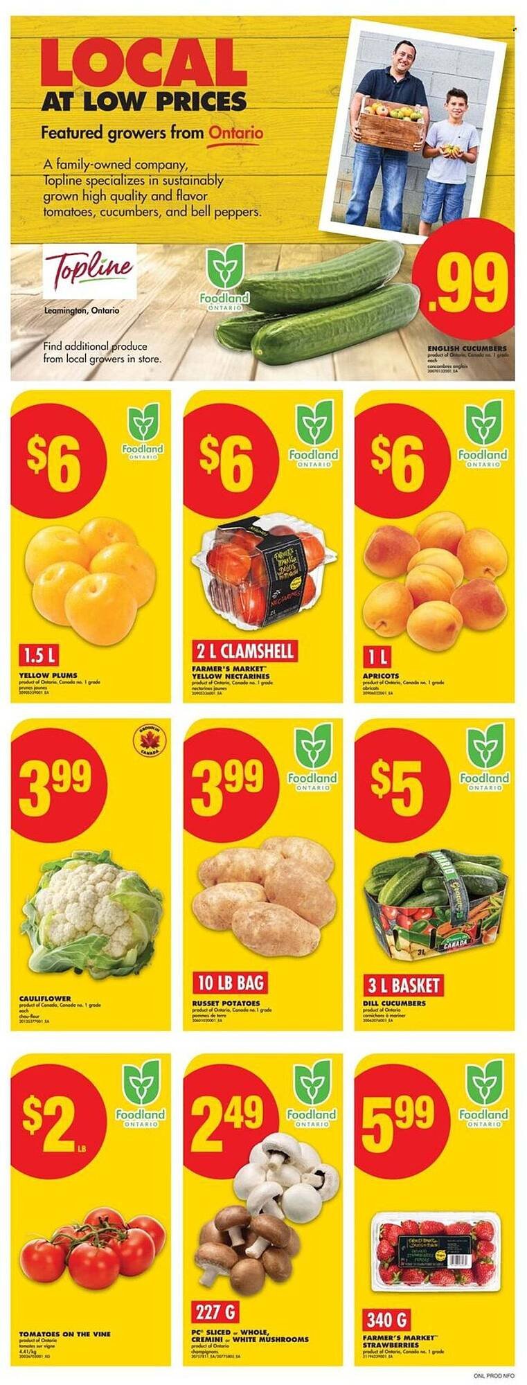 No Frills flyer