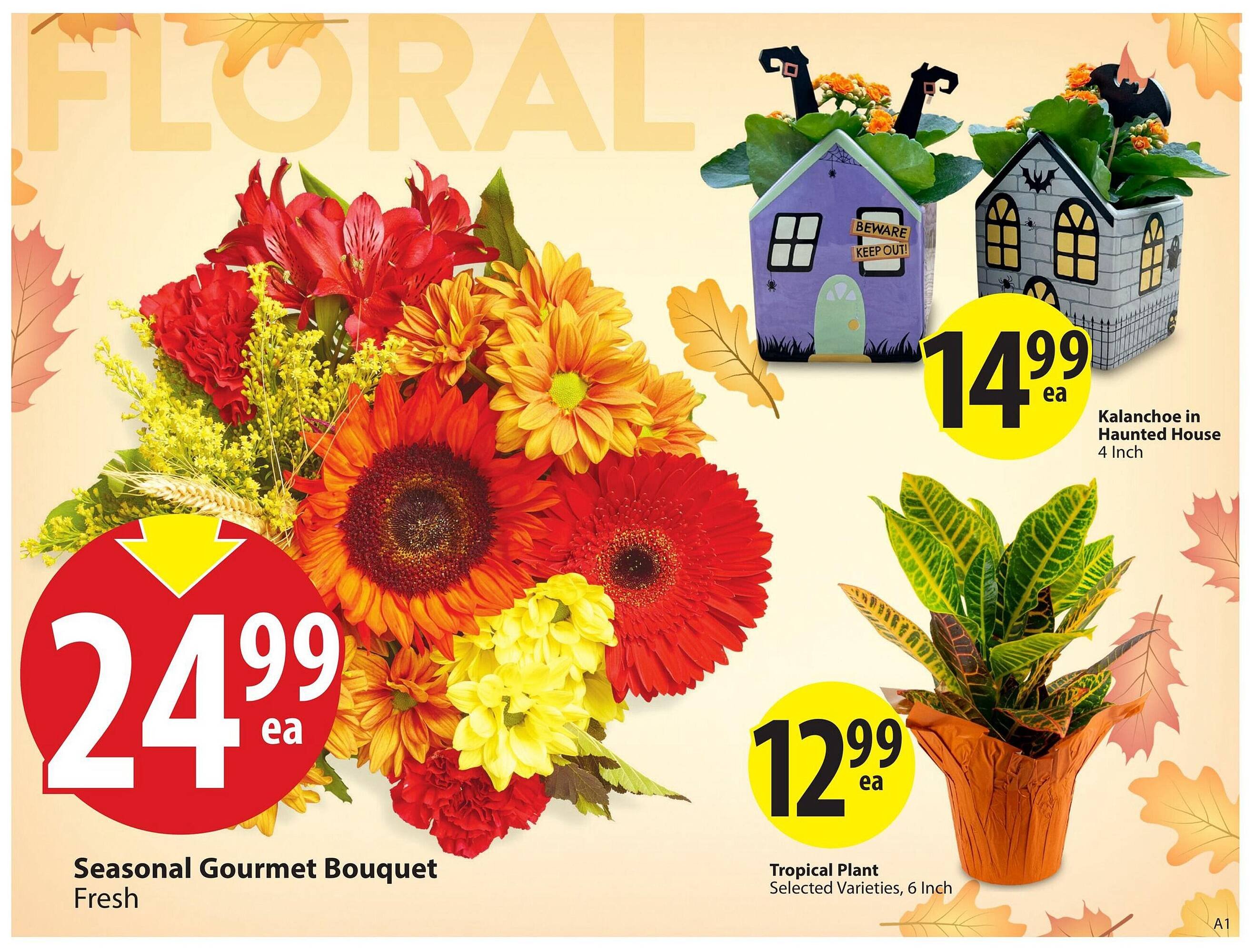 Save on Foods flyer