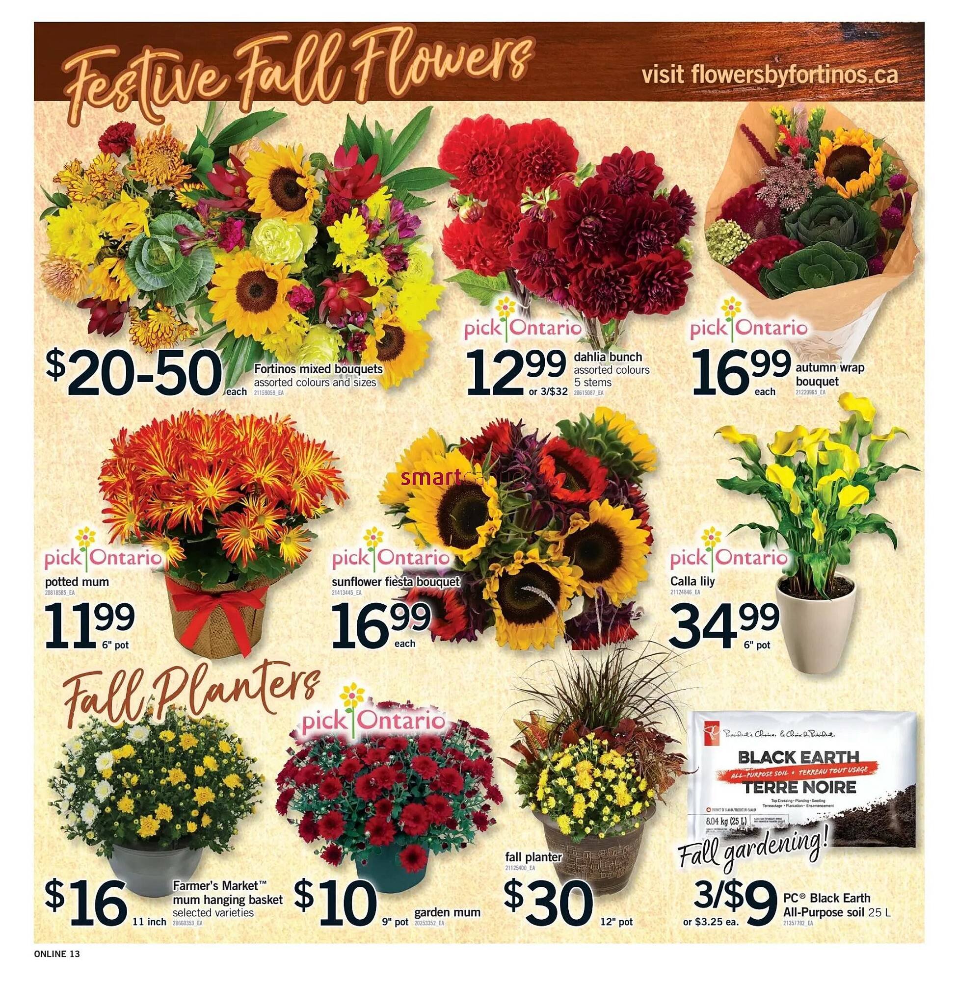 Fortinos flyer