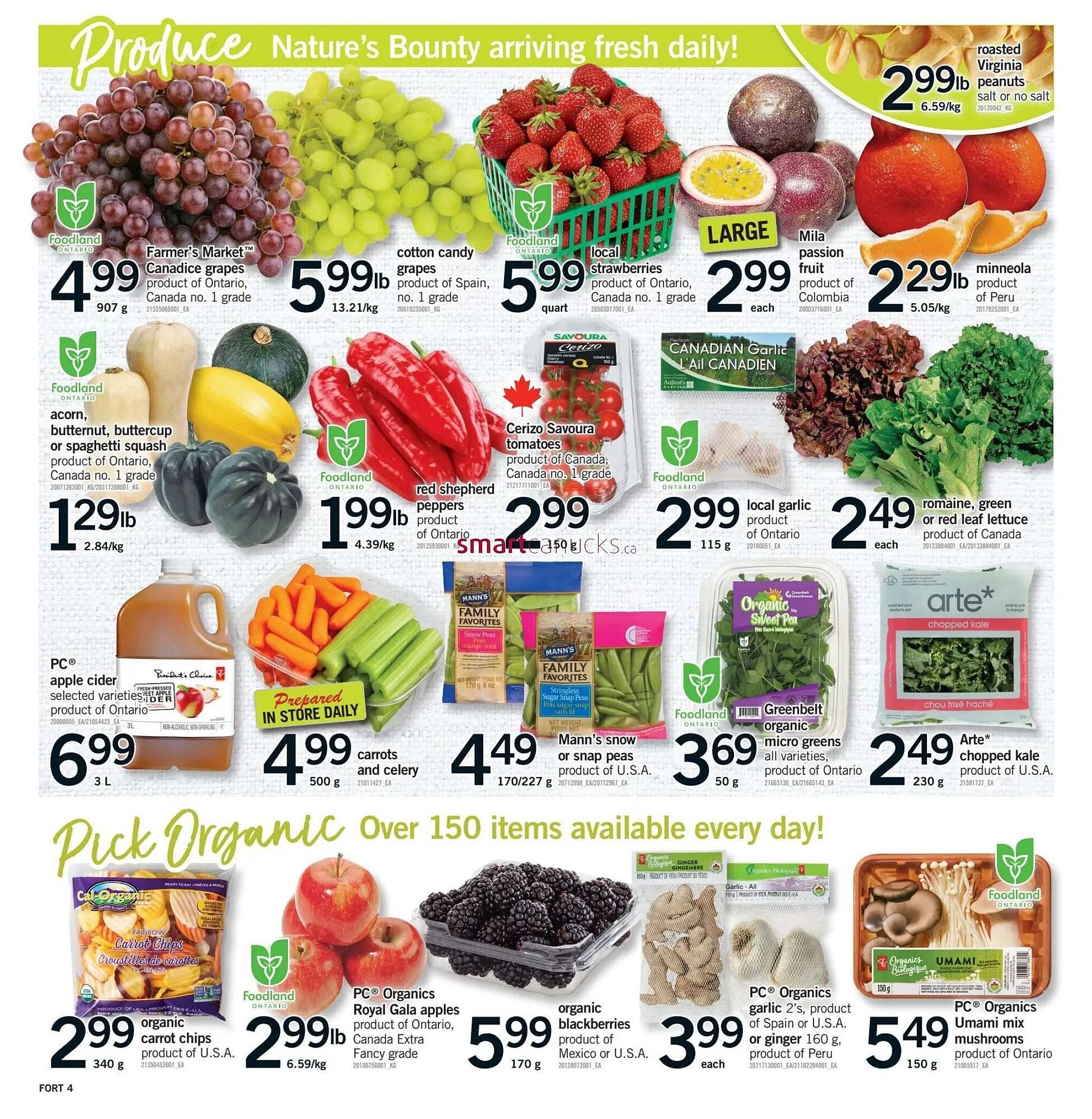 Fortinos flyer