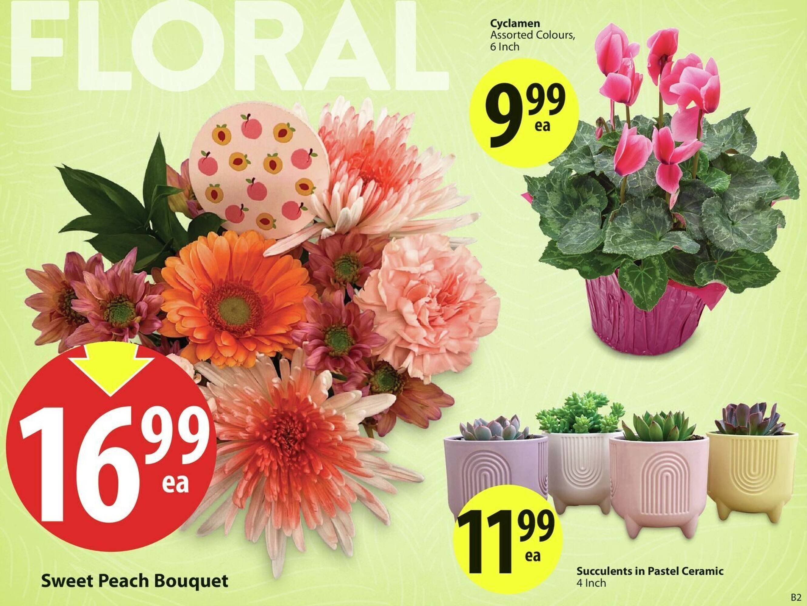 Save on Foods flyer