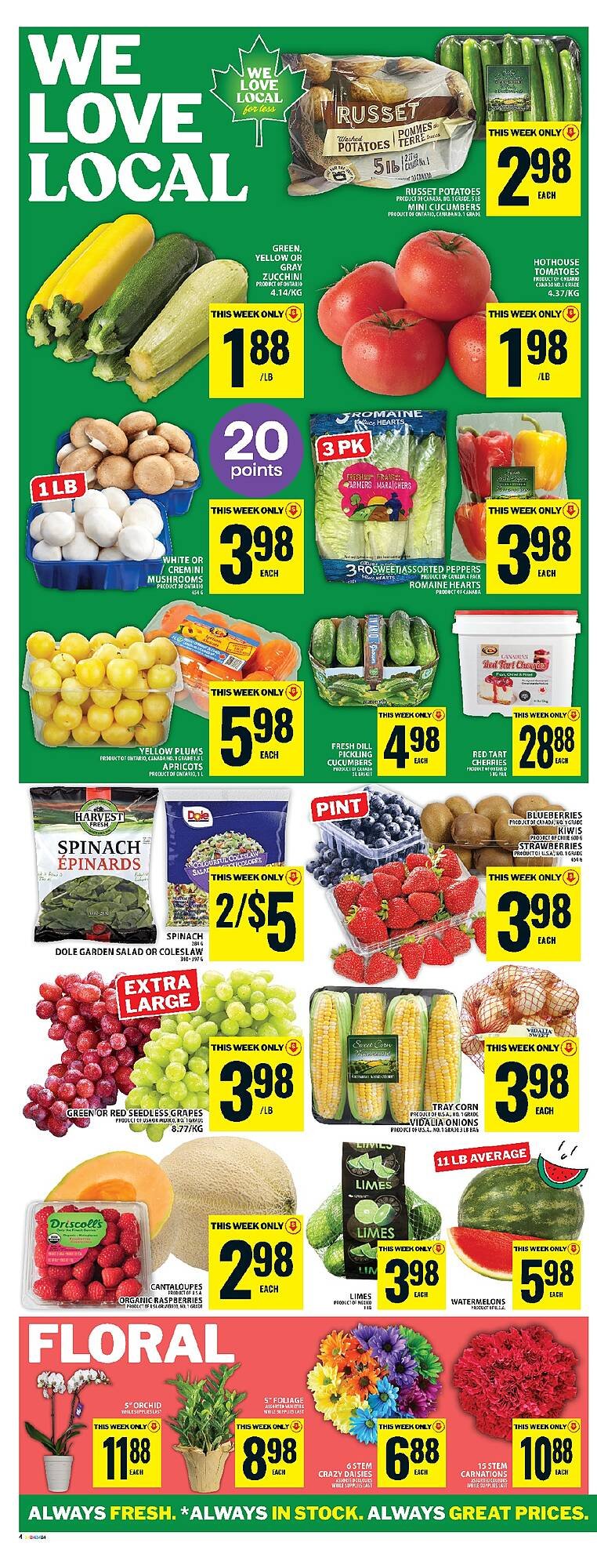 Food Basics flyer